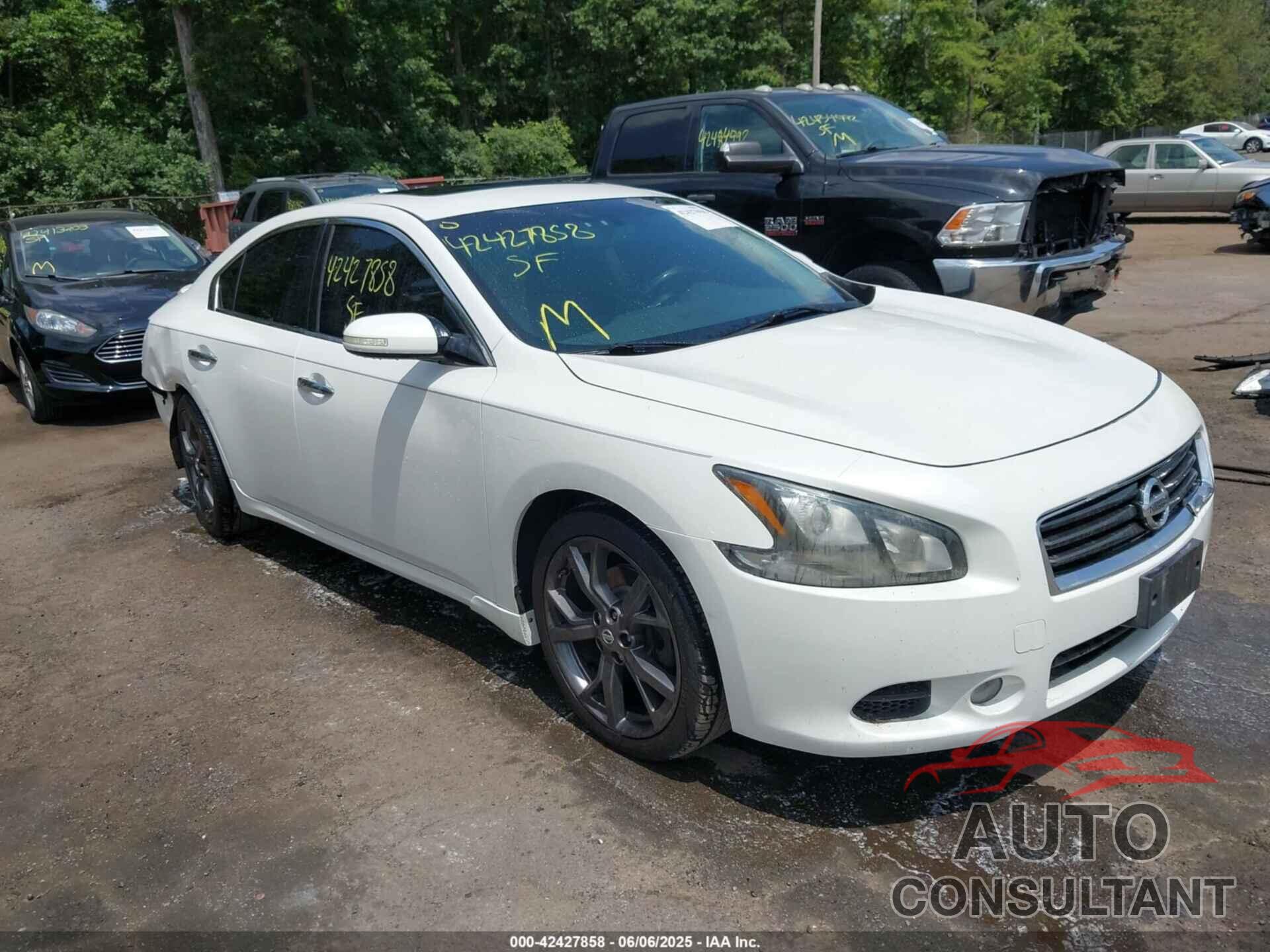 NISSAN MAXIMA 2013 - 1N4AA5AP4DC813443