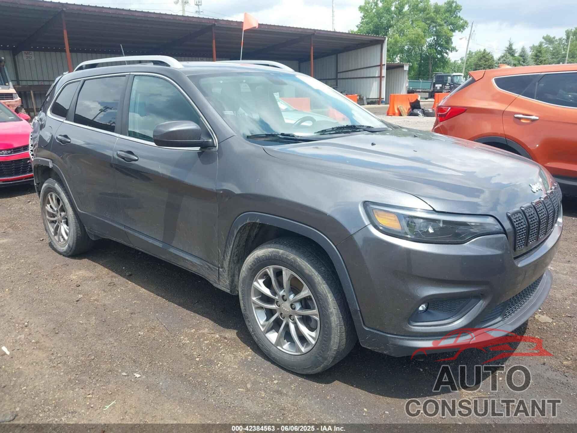 JEEP CHEROKEE 2019 - 1C4PJMLBXKD130475