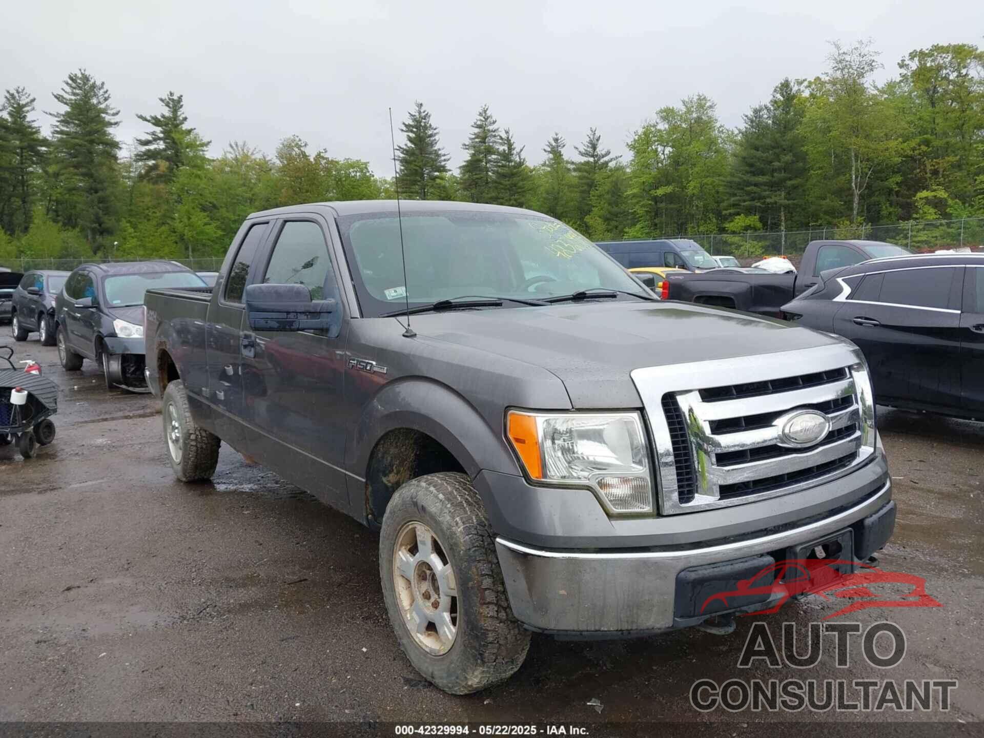 FORD F-150 2009 - 1FTRX14879FB19313