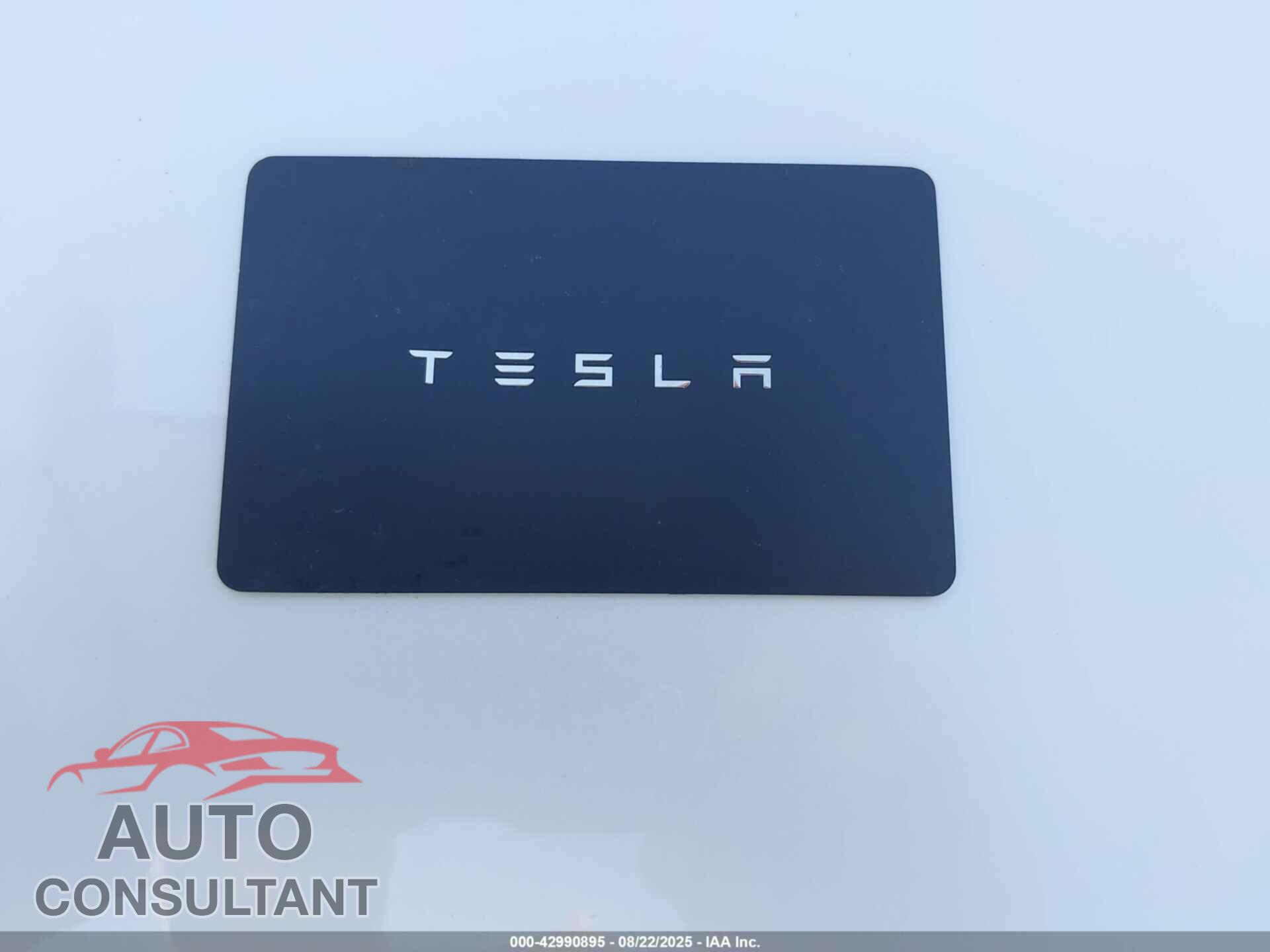 TESLA MODEL 3 2019 - 5YJ3E1EA0KF310031