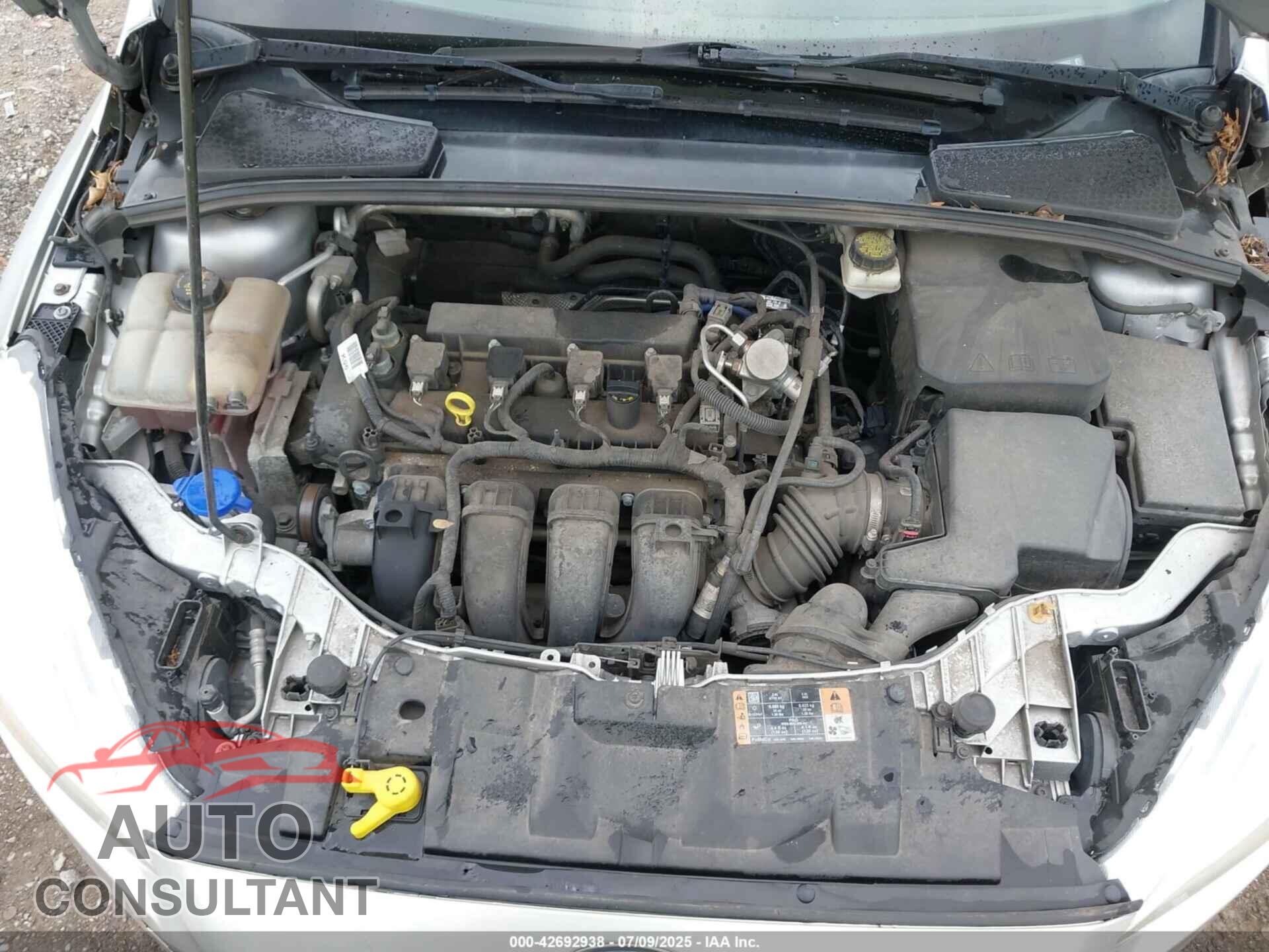 FORD FOCUS 2017 - 1FADP3F29HL222057