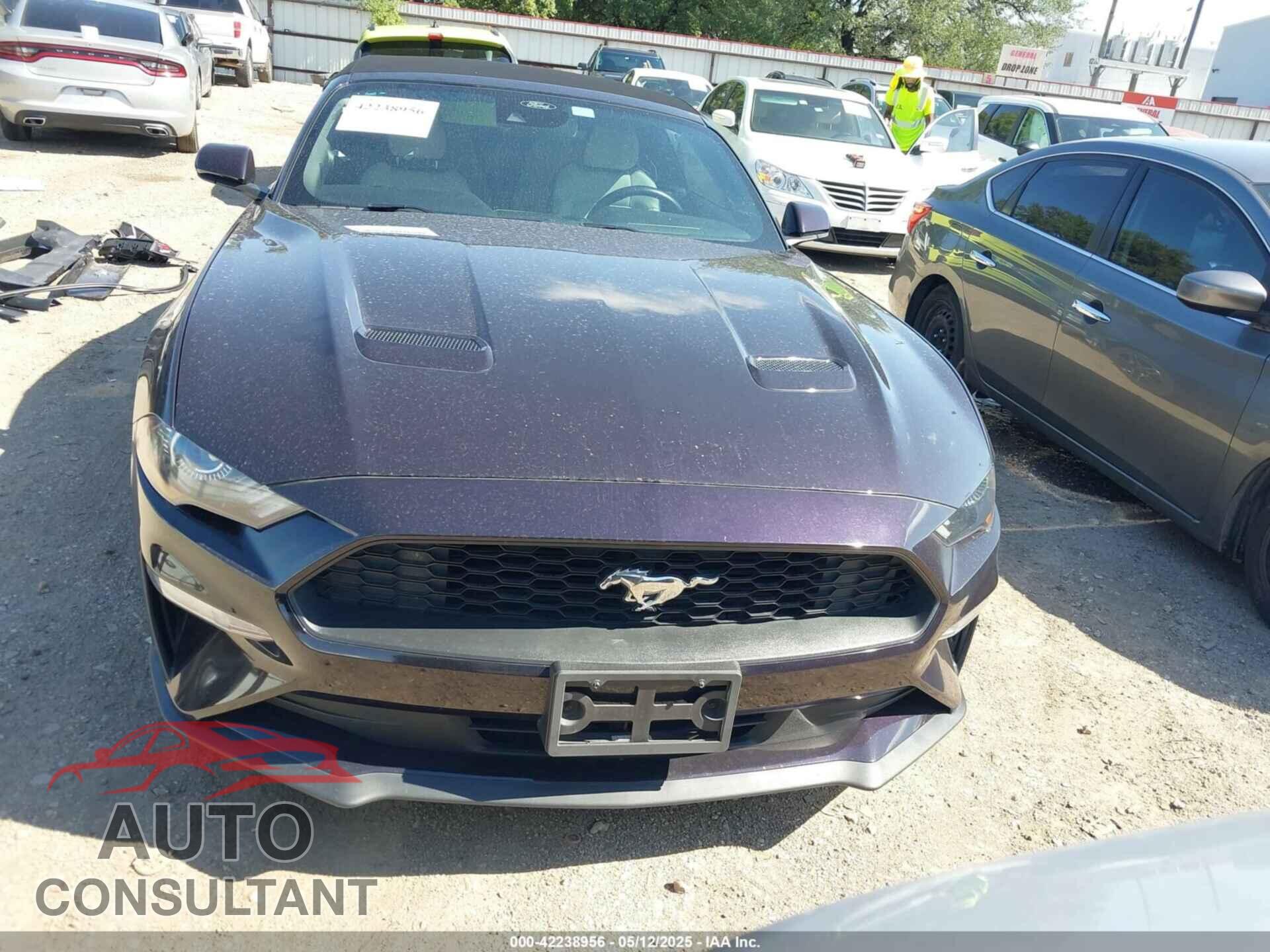 FORD MUSTANG 2022 - 1FATP8UH5N5133246