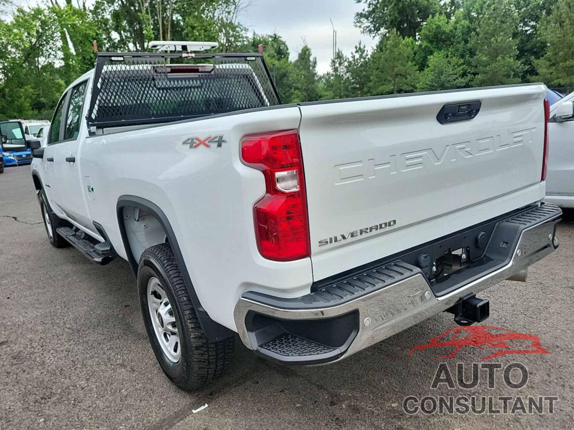 CHEVROLET SILVERADO 2024 - 1GC4YSEY8RF192458