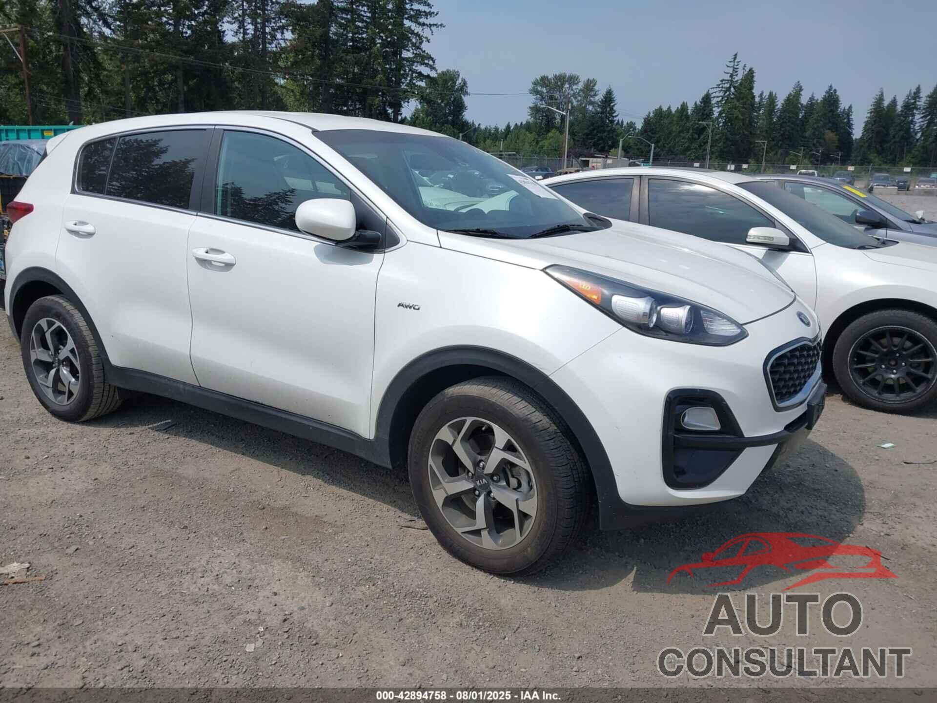 KIA SPORTAGE 2022 - KNDPMCAC4N7966072