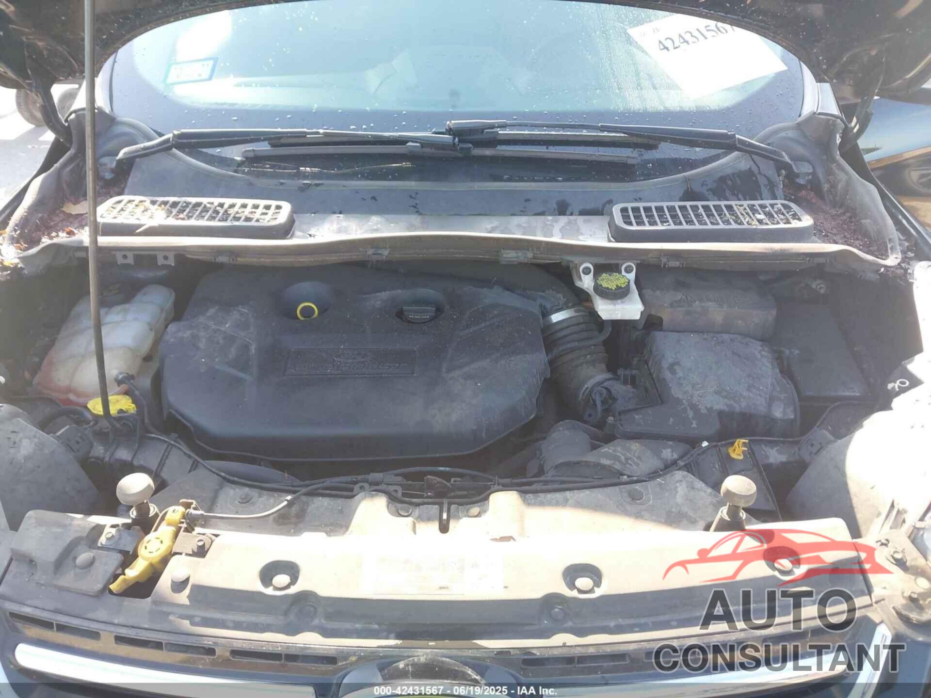 FORD ESCAPE 2016 - 1FMCU9J97GUC21242
