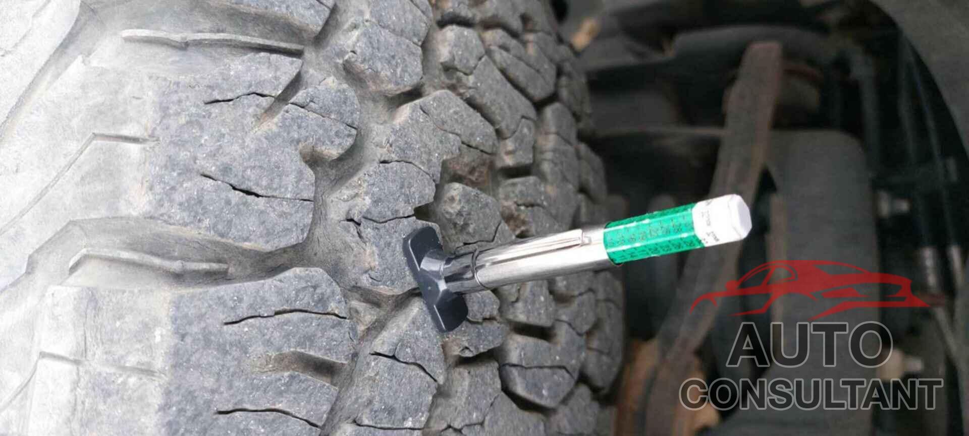 FORD F150 2019 - 1FTFW1E54KKE85396
