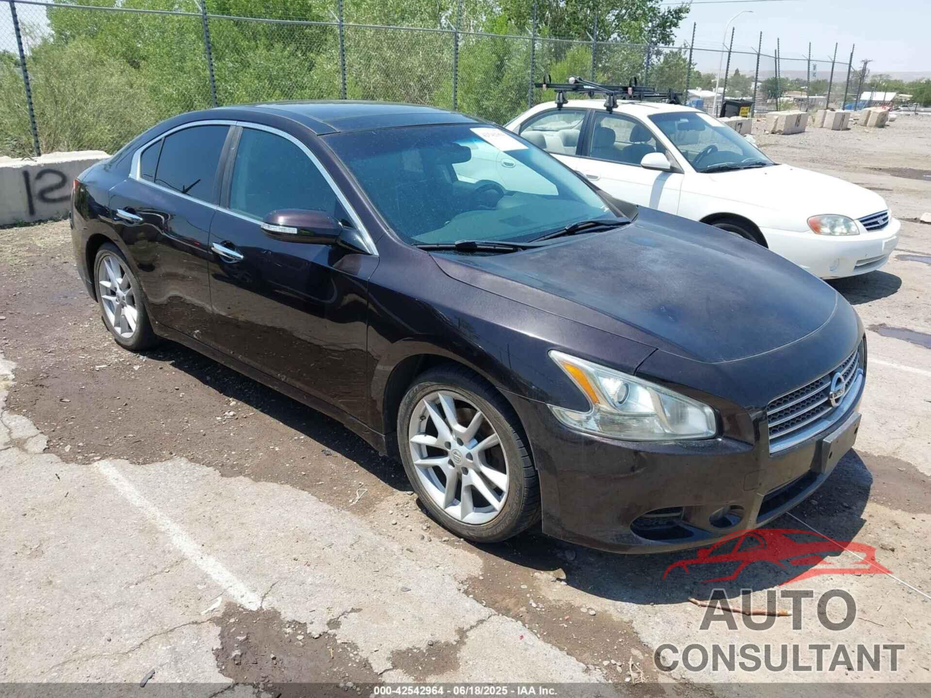 NISSAN MAXIMA 2011 - 1N4AA5AP6BC814834