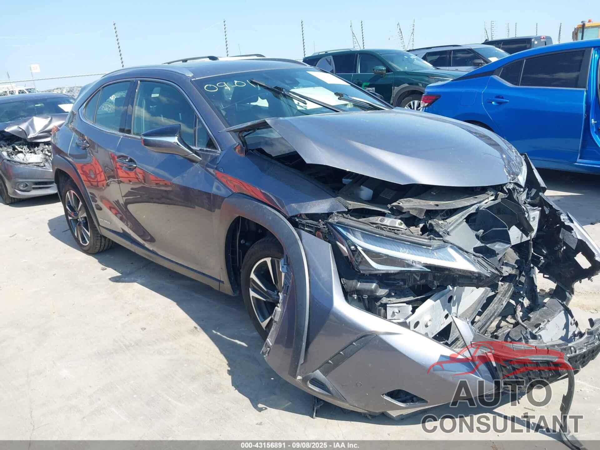 LEXUS UX 250H 2019 - JTHU9JBH1K2019419