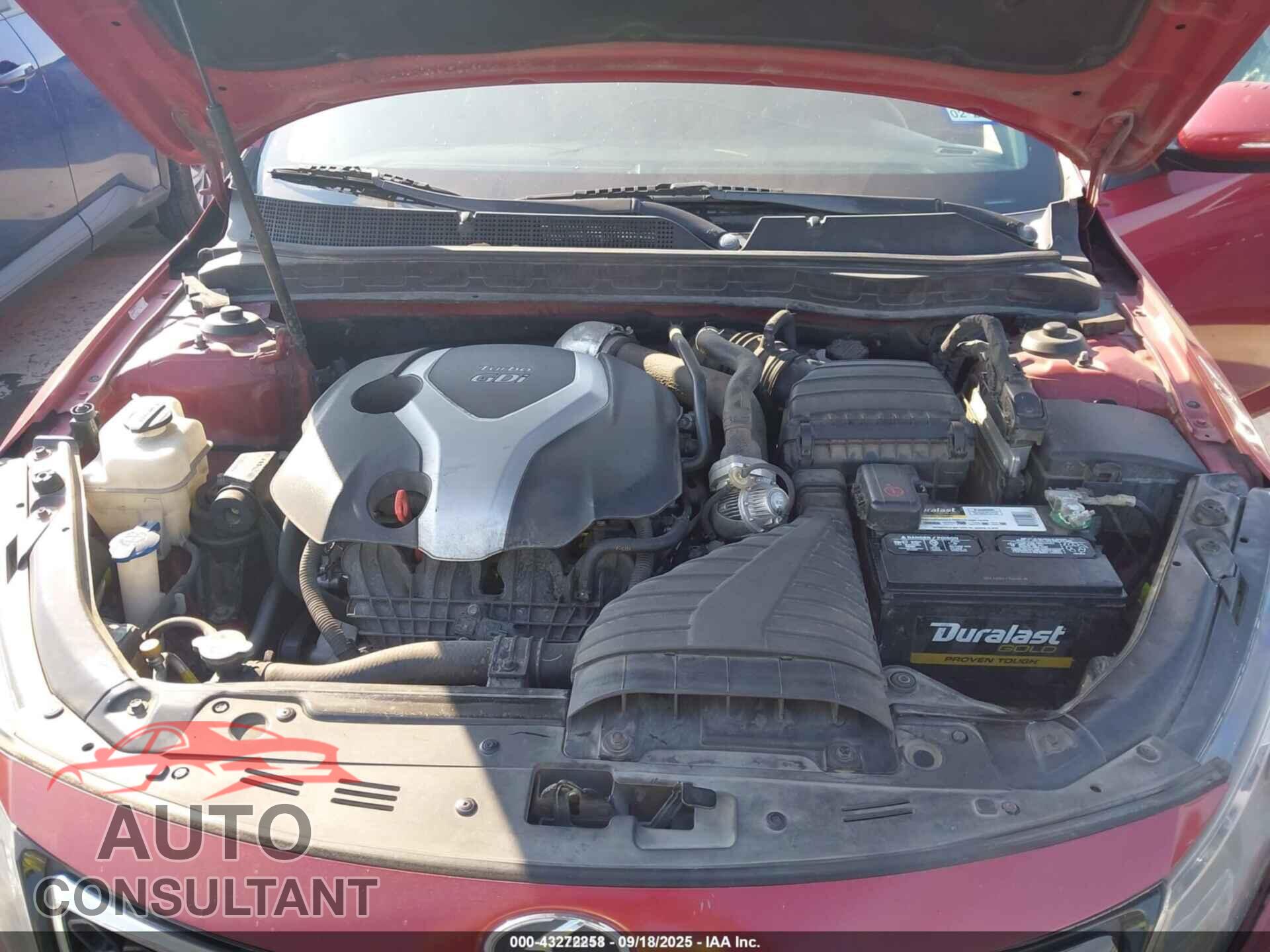 KIA OPTIMA 2013 - 5XXGR4A67DG218519