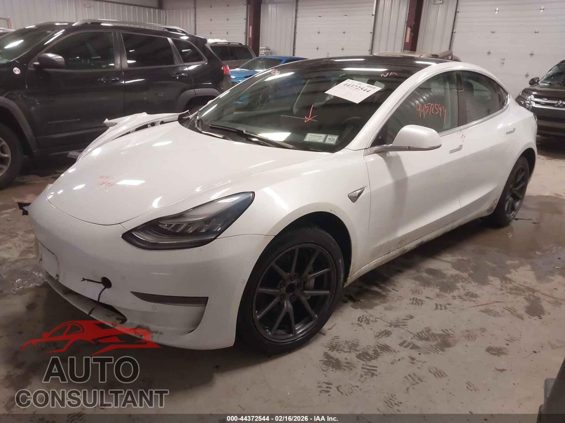 TESLA MODEL 3 2019 - 5YJ3E1EA2KF483002