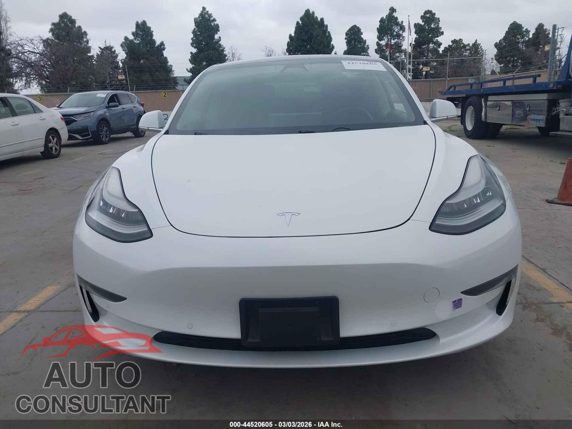 TESLA MODEL 3 2019 - 5YJ3E1EA8KF436265