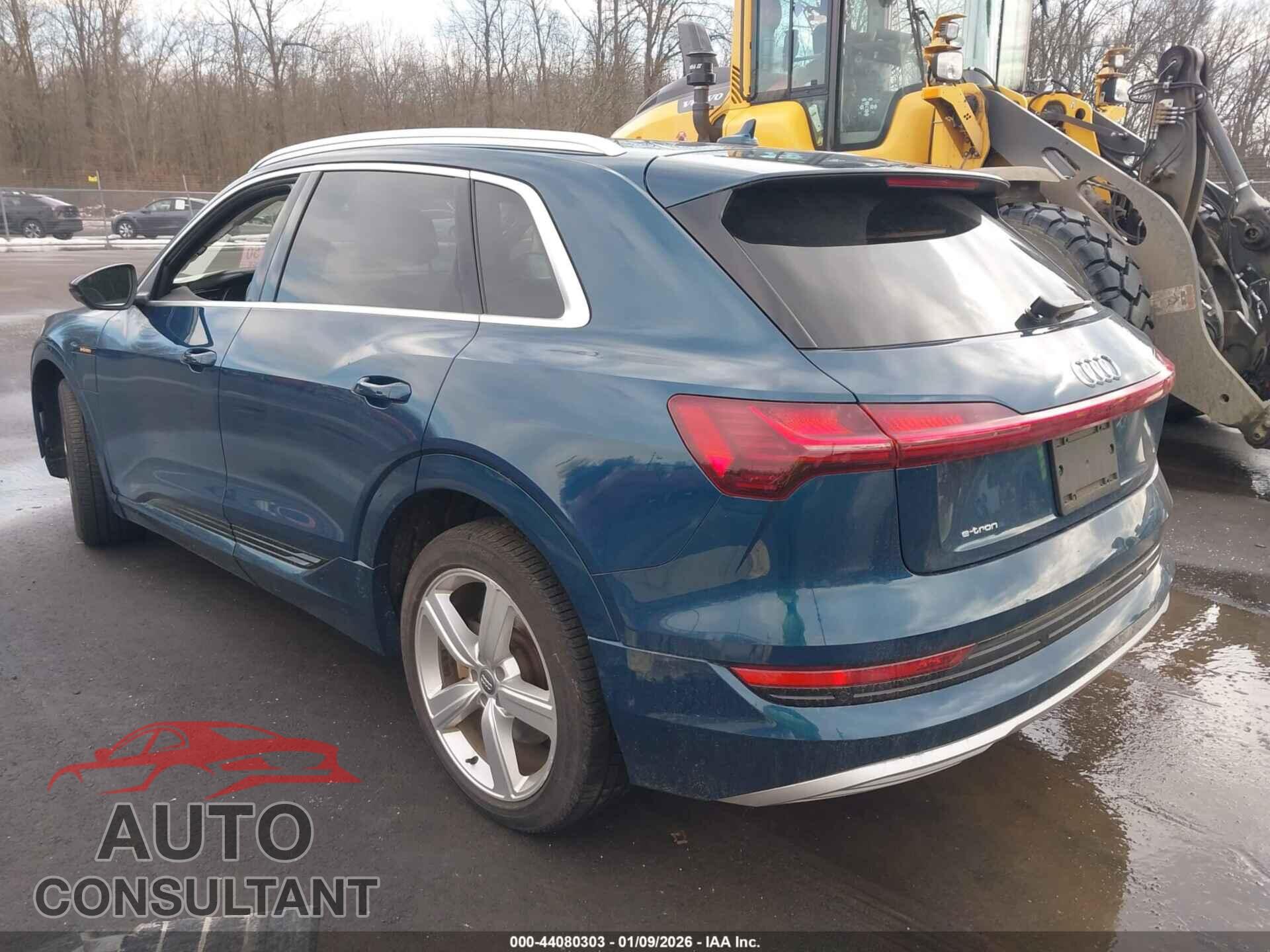 AUDI E-TRON 2019 - WA1VAAGE4KB015709