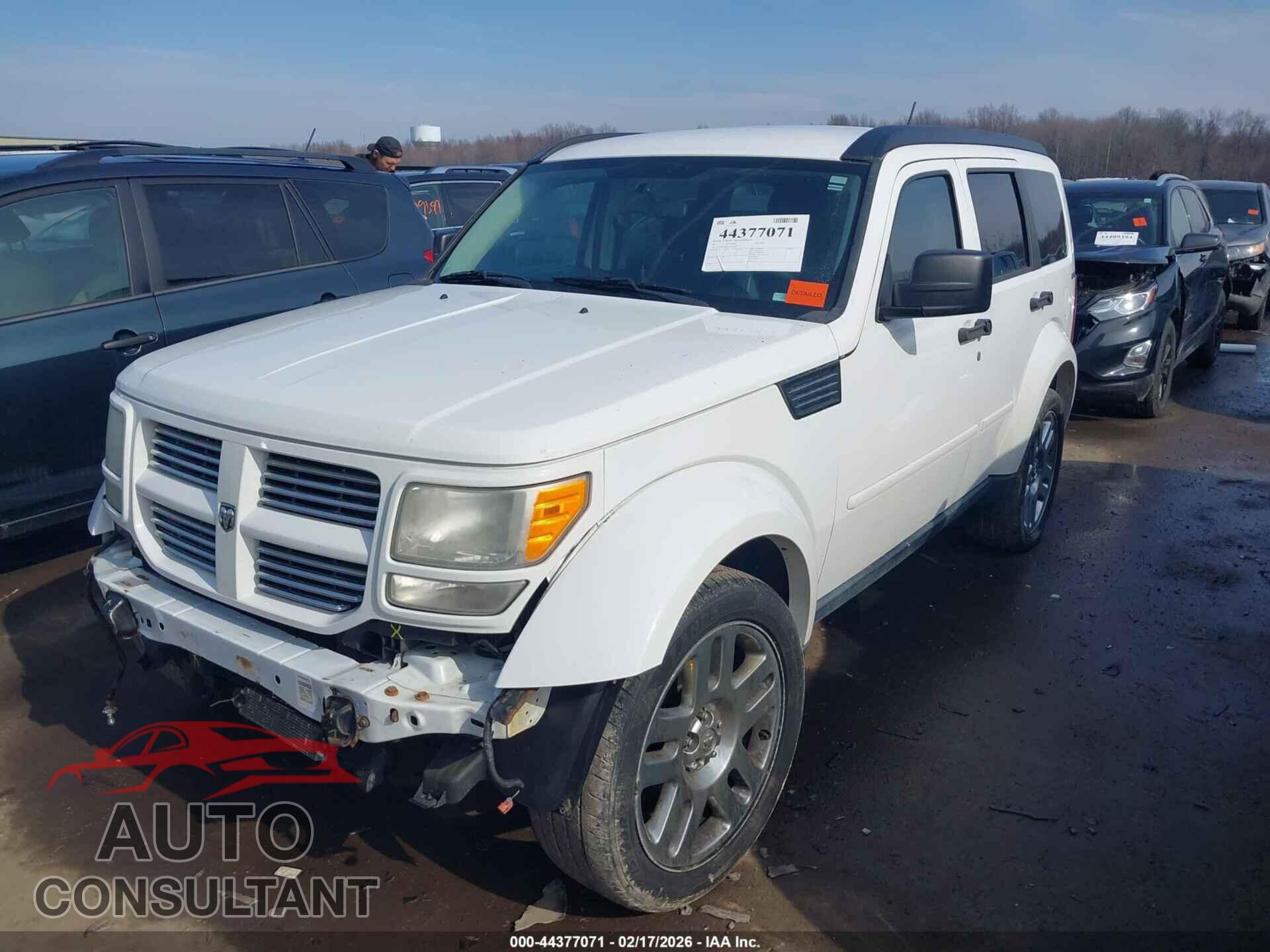 DODGE NITRO 2011 - 1D4PU4GK7BW590475