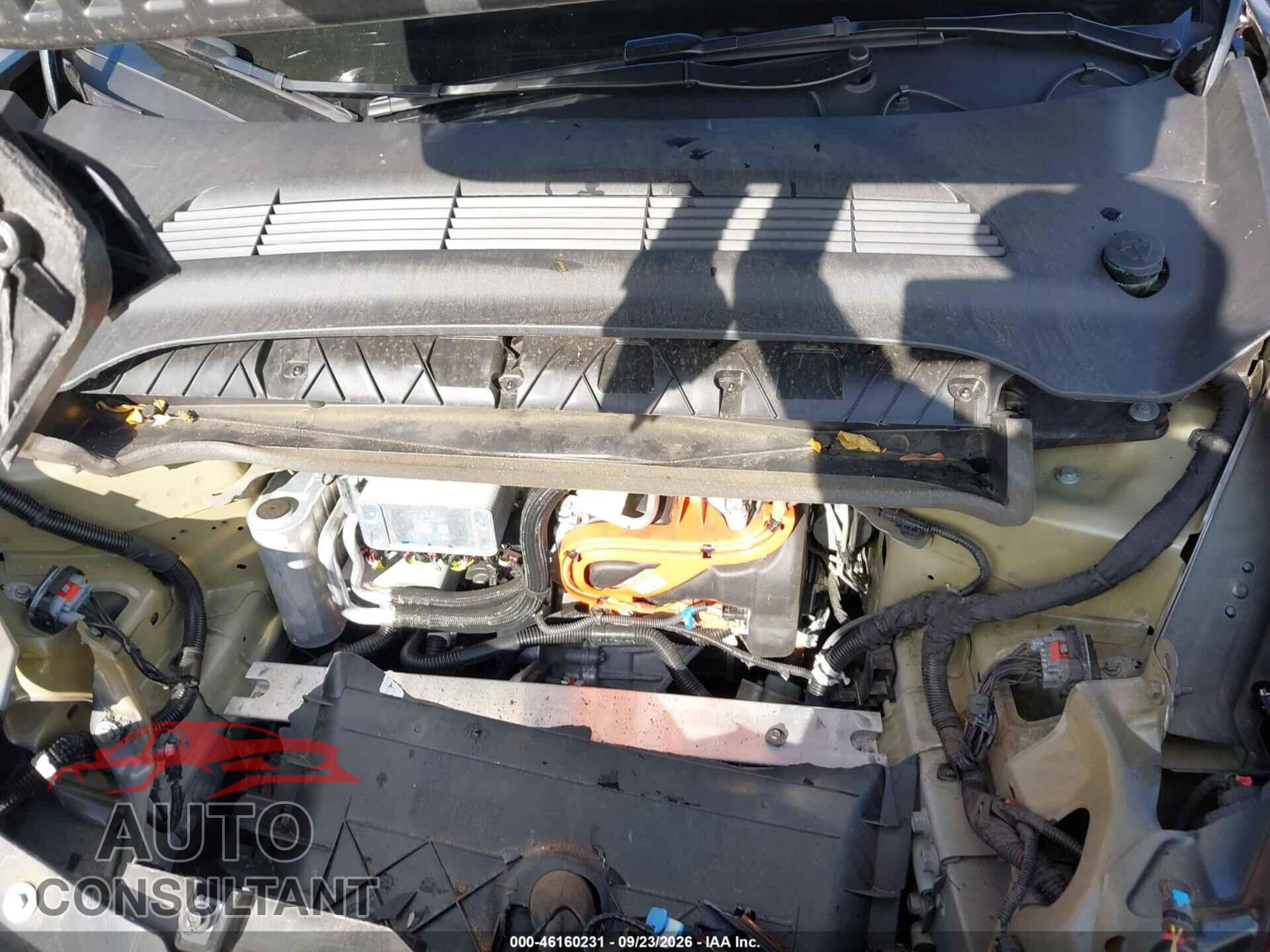 TESLA MODEL Y 2024 - 7SAYGDEE2RF032122