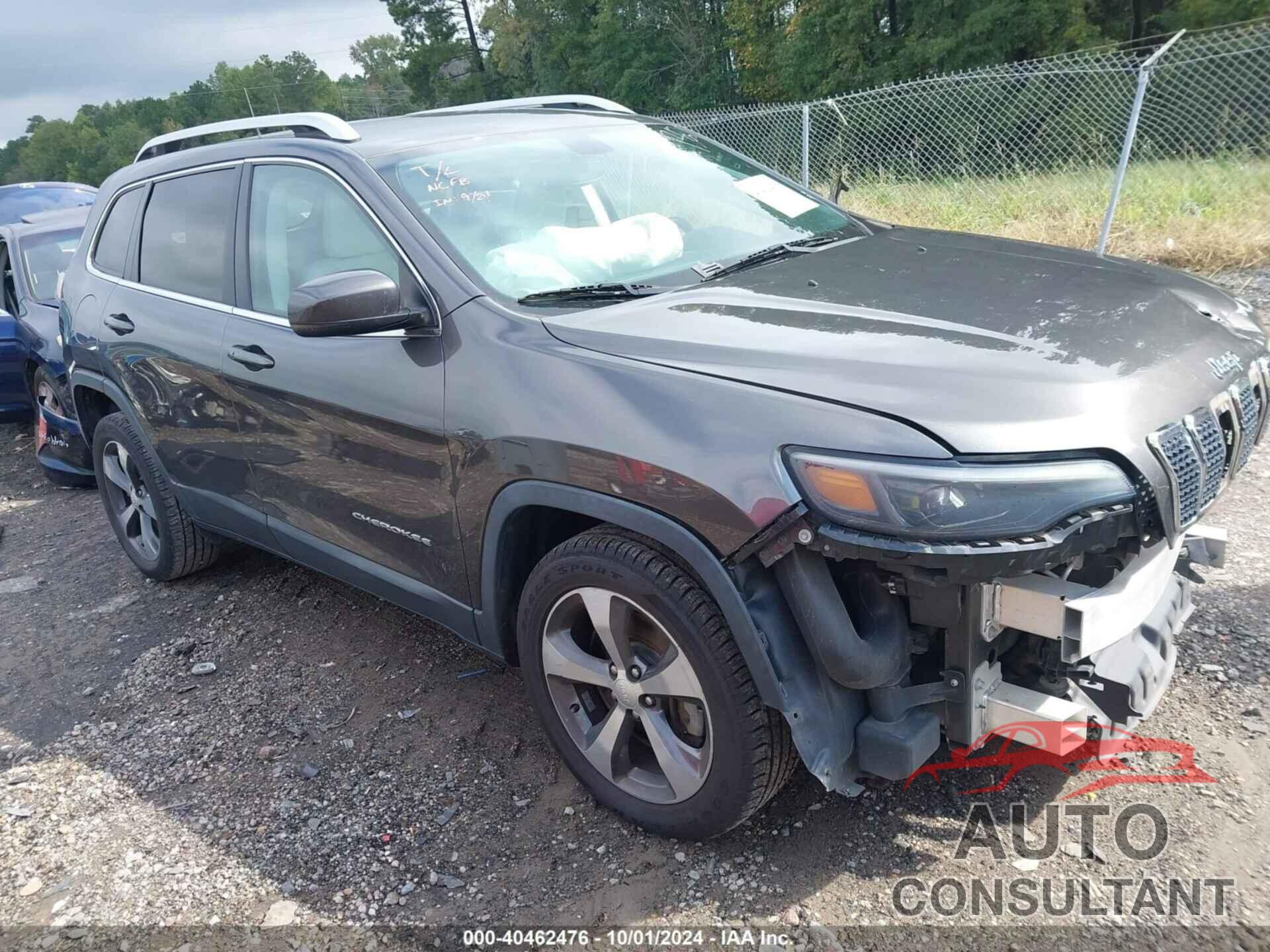 JEEP CHEROKEE 2019 - 1C4PJLDX6KD190595