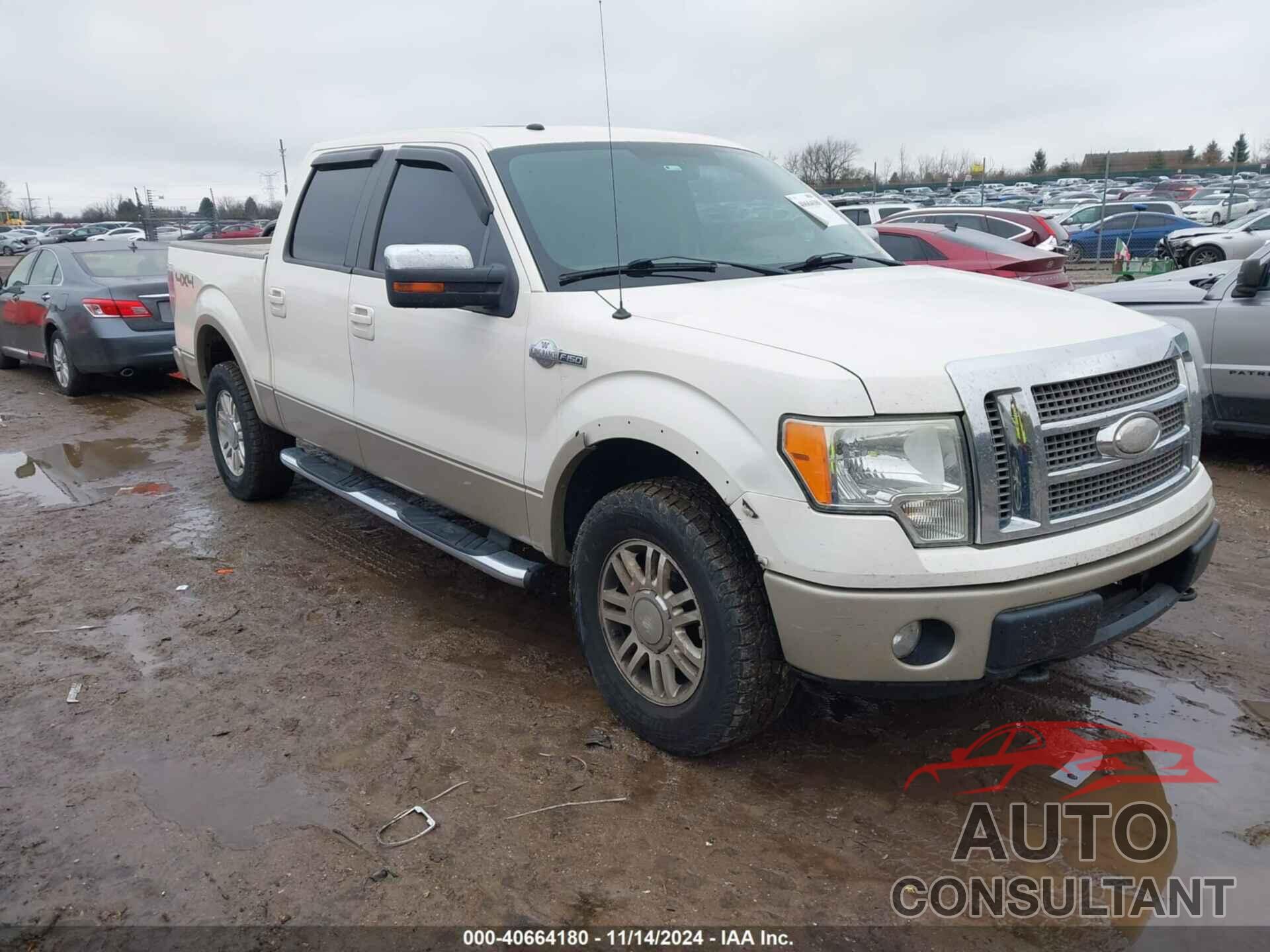 FORD F-150 2009 - 1FTPW14VX9KC06789