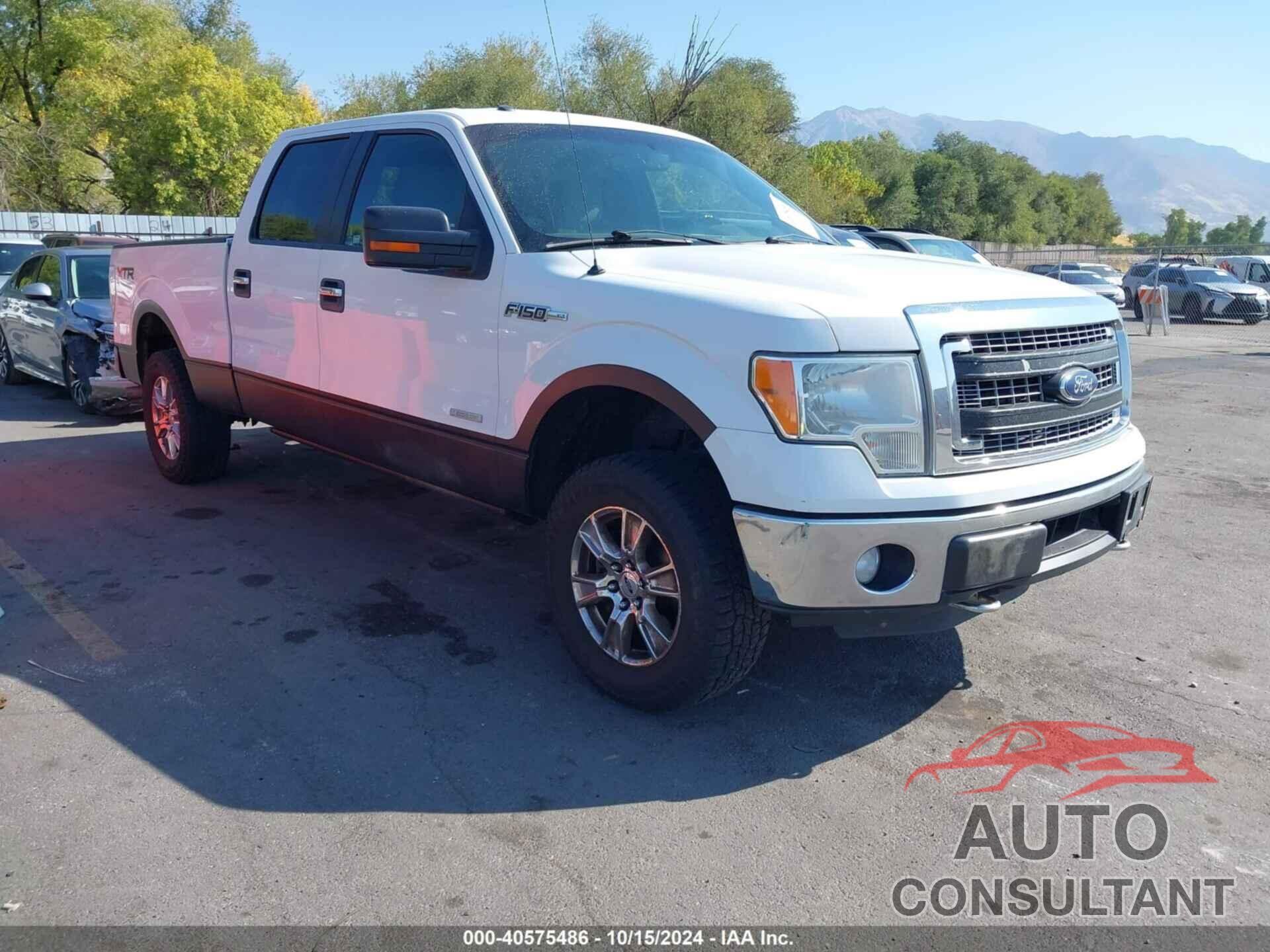 FORD F-150 2014 - 1FTFW1ET5EFC45365