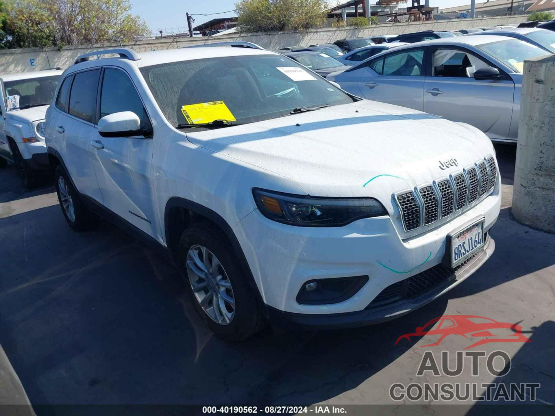 JEEP CHEROKEE 2019 - 1C4PJLCBXKD490601