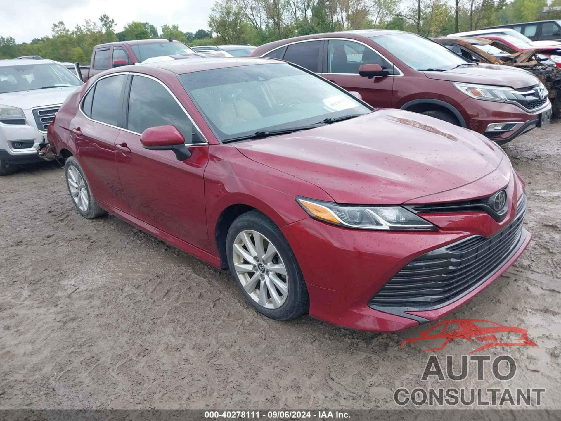 TOYOTA CAMRY 2019 - 4T1B11HK2KU798476