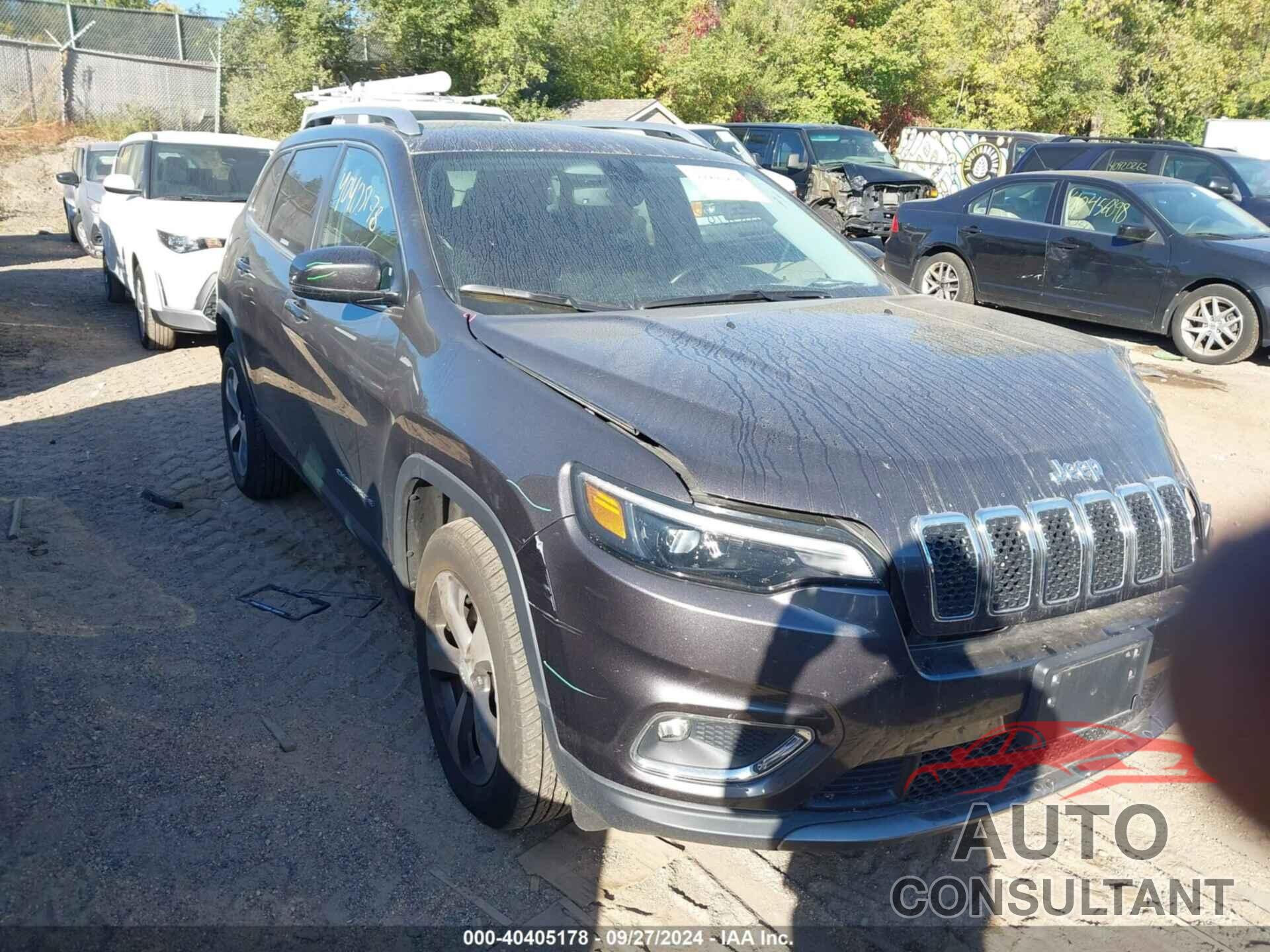 JEEP CHEROKEE 2020 - 1C4PJMDX5LD621273