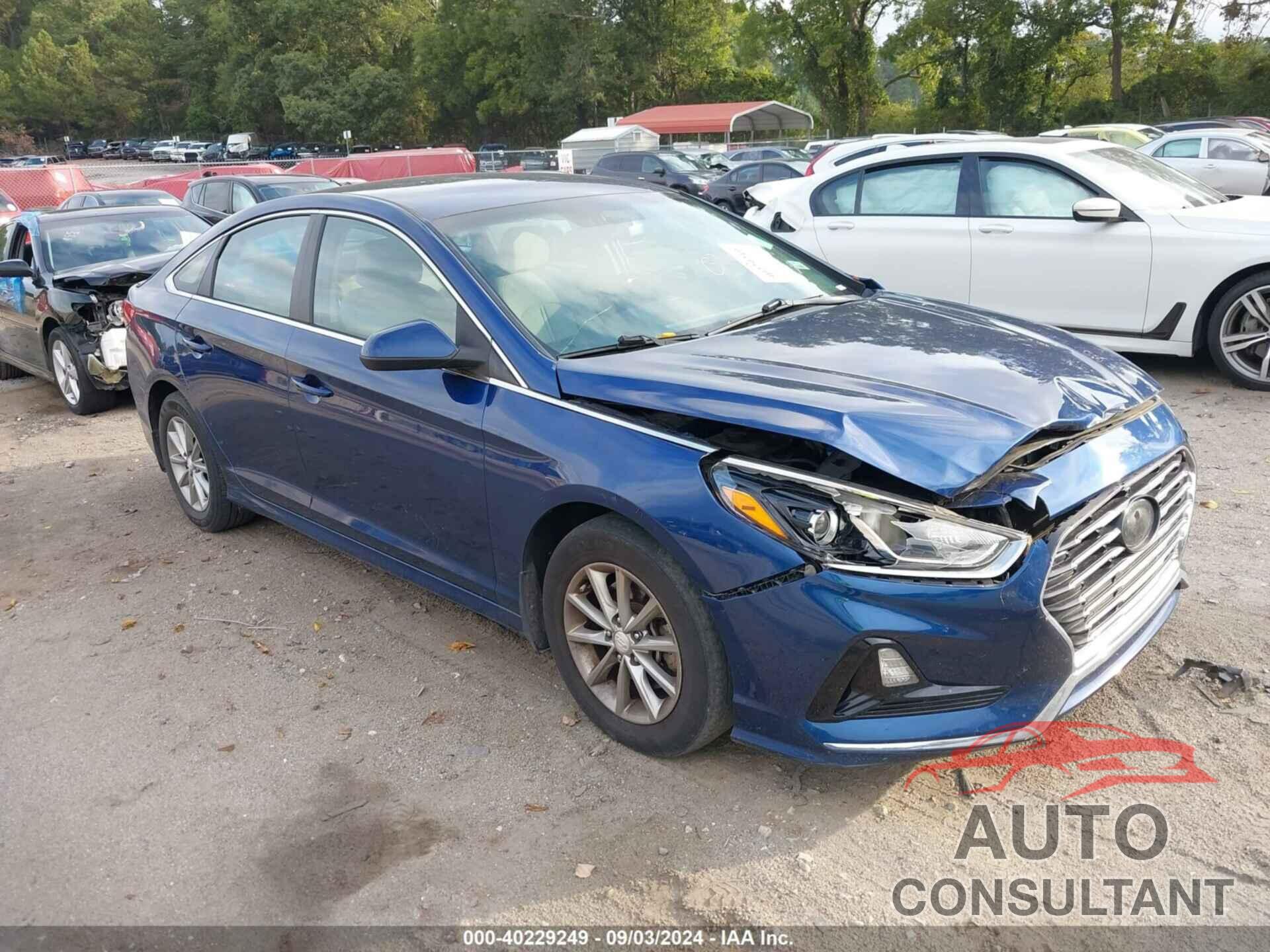 HYUNDAI SONATA 2019 - 5NPE24AFXKH741787