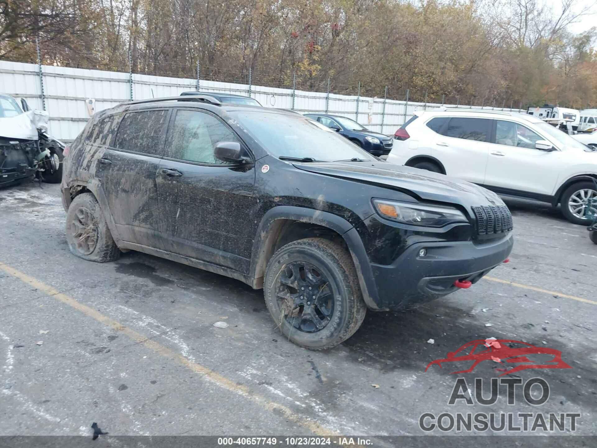 JEEP CHEROKEE 2019 - 1C4PJMBX1KD130880