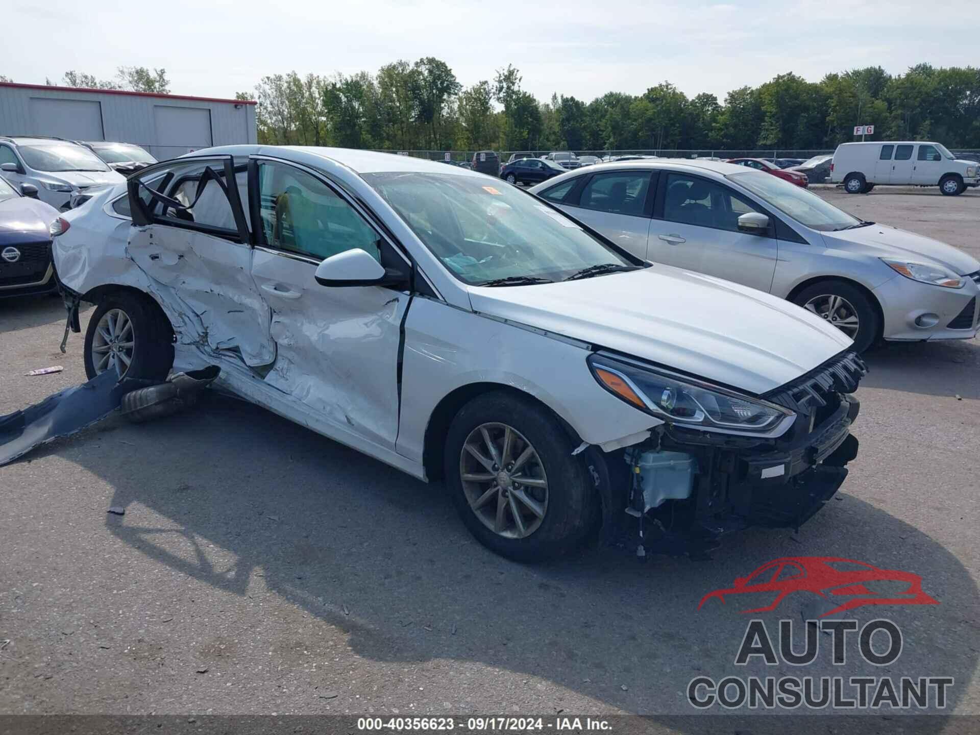 HYUNDAI SONATA 2019 - 5NPE24AF8KH801615