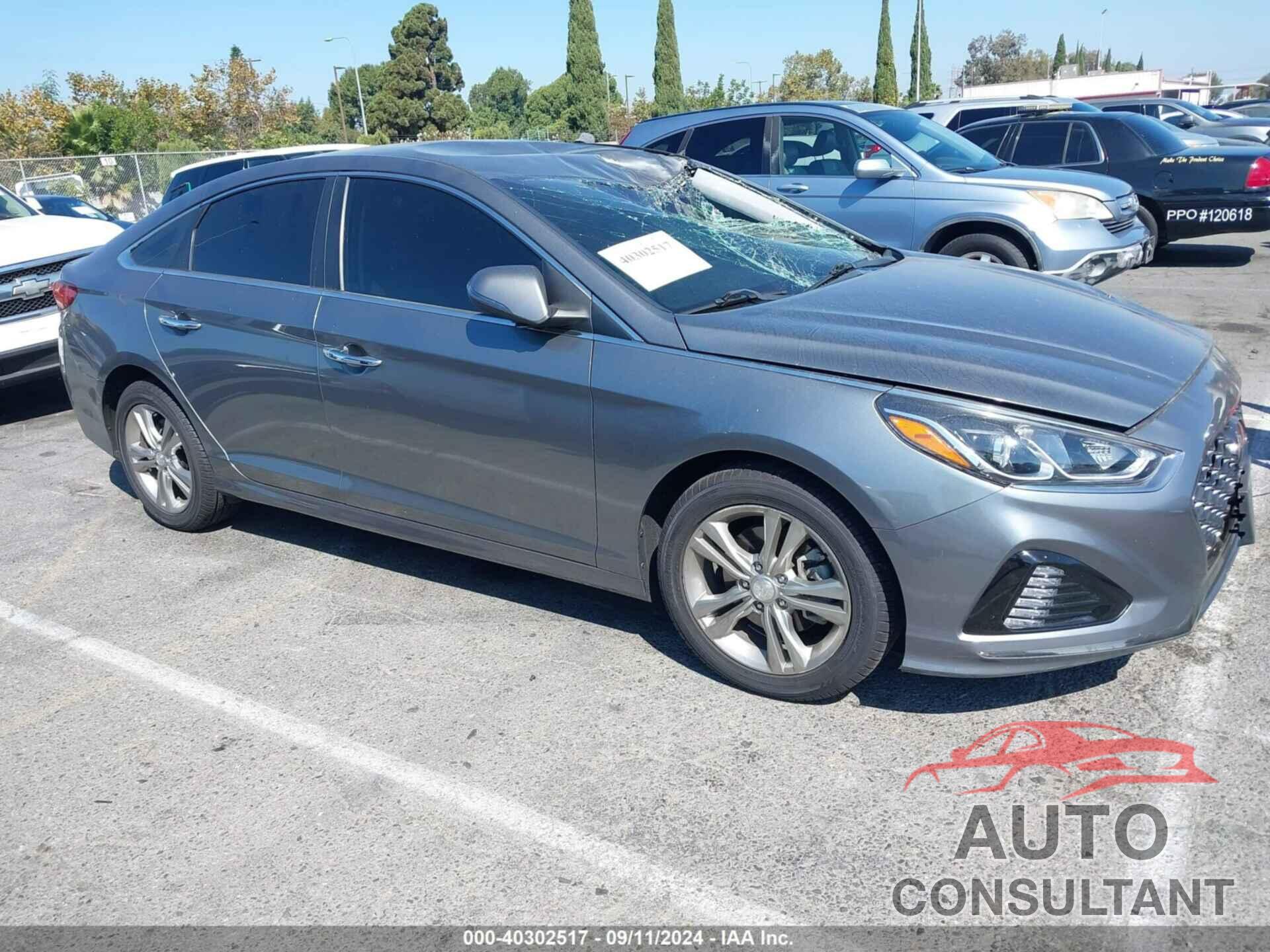 HYUNDAI SONATA 2019 - 5NPE34AF3KH749727