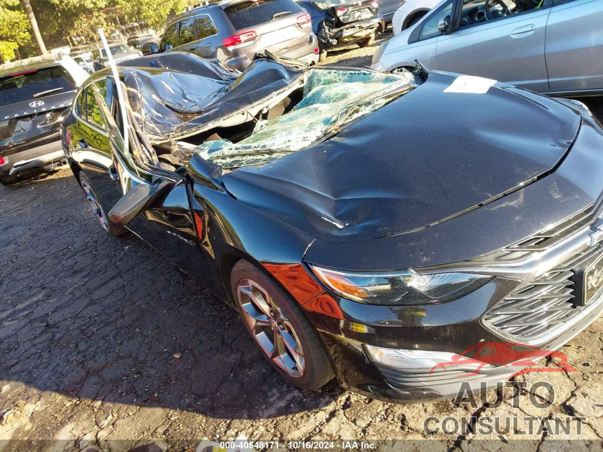 CHEVROLET MALIBU 2019 - 1G1ZG5ST6KF217388