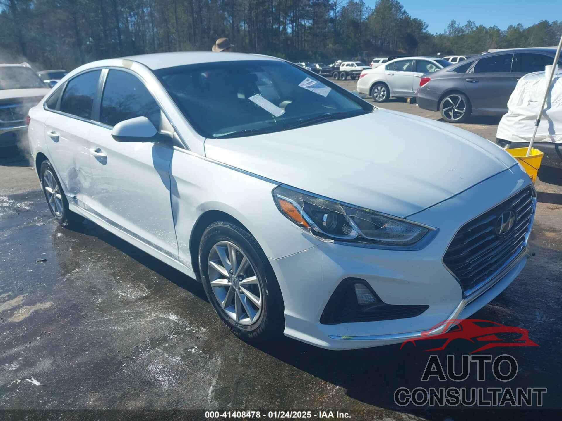 HYUNDAI SONATA 2019 - 5NPE24AFXKH736492