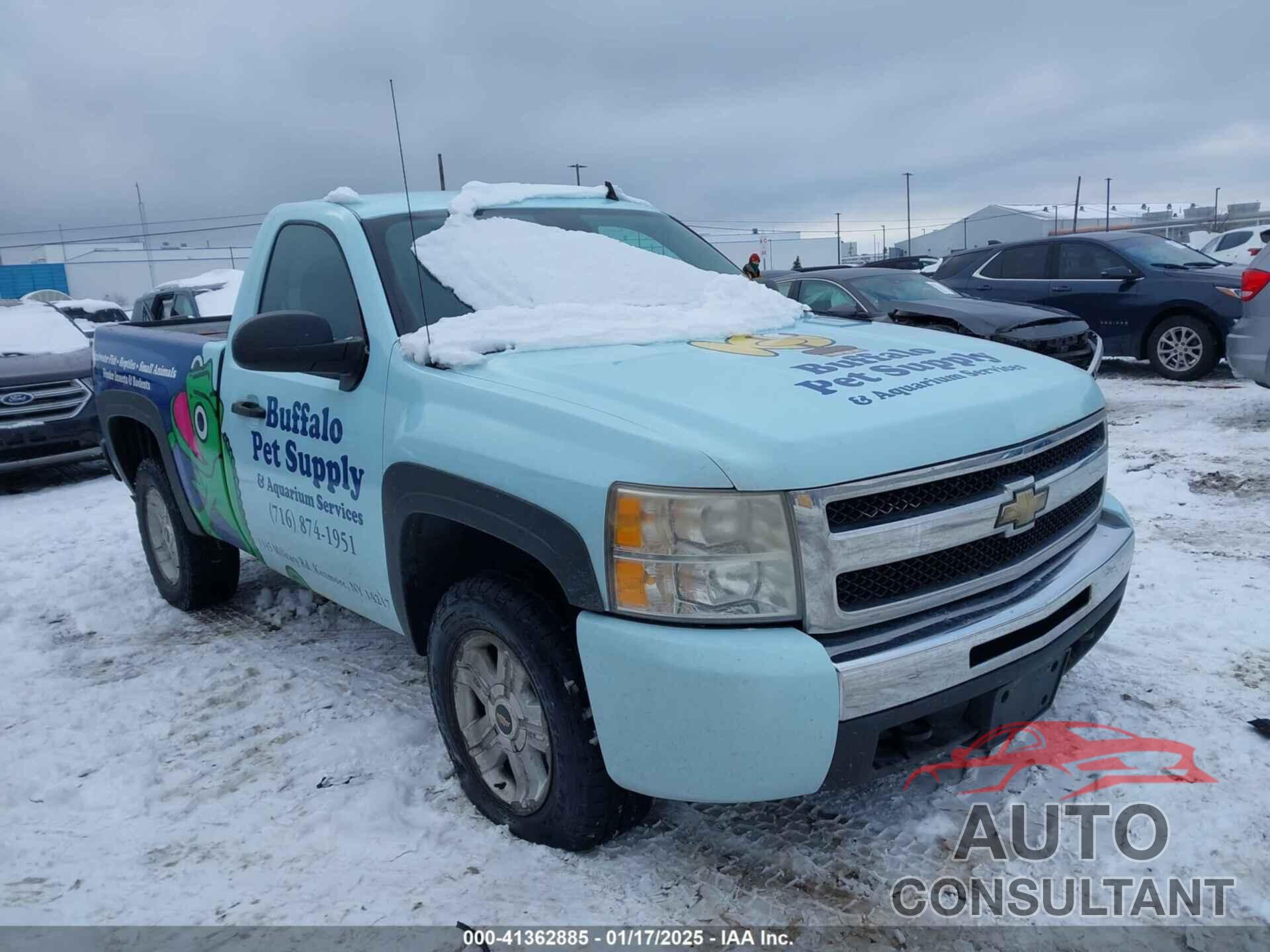 CHEVROLET SILVERADO 1500 2010 - 1GCPKSE01AZ297077