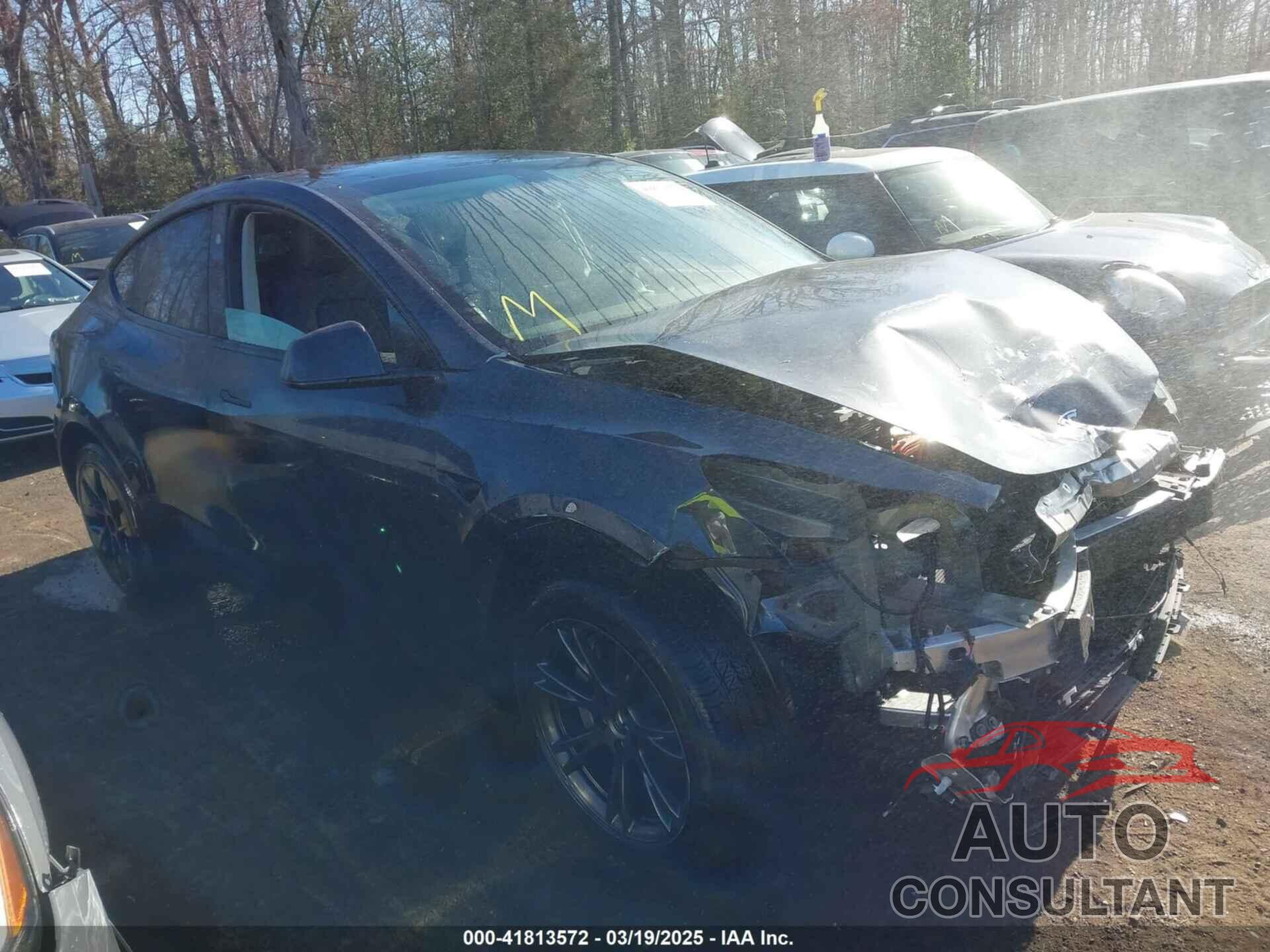 TESLA MODEL Y 2024 - 7SAYGAEE5RF127224