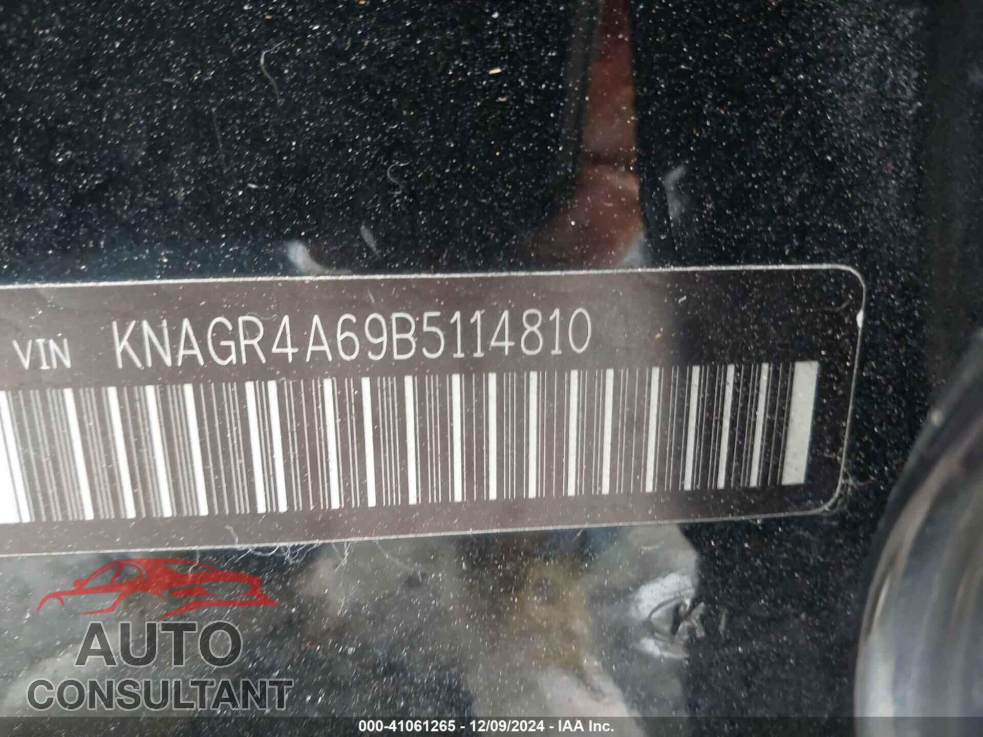 KIA OPTIMA 2011 - KNAGR4A69B5114810