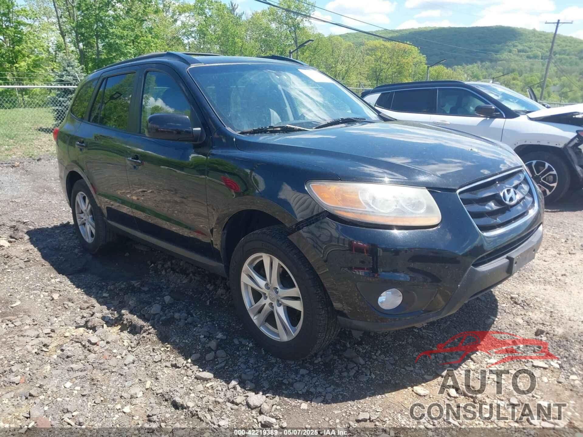 HYUNDAI SANTA FE 2010 - 5NMSHDAGXAH351472