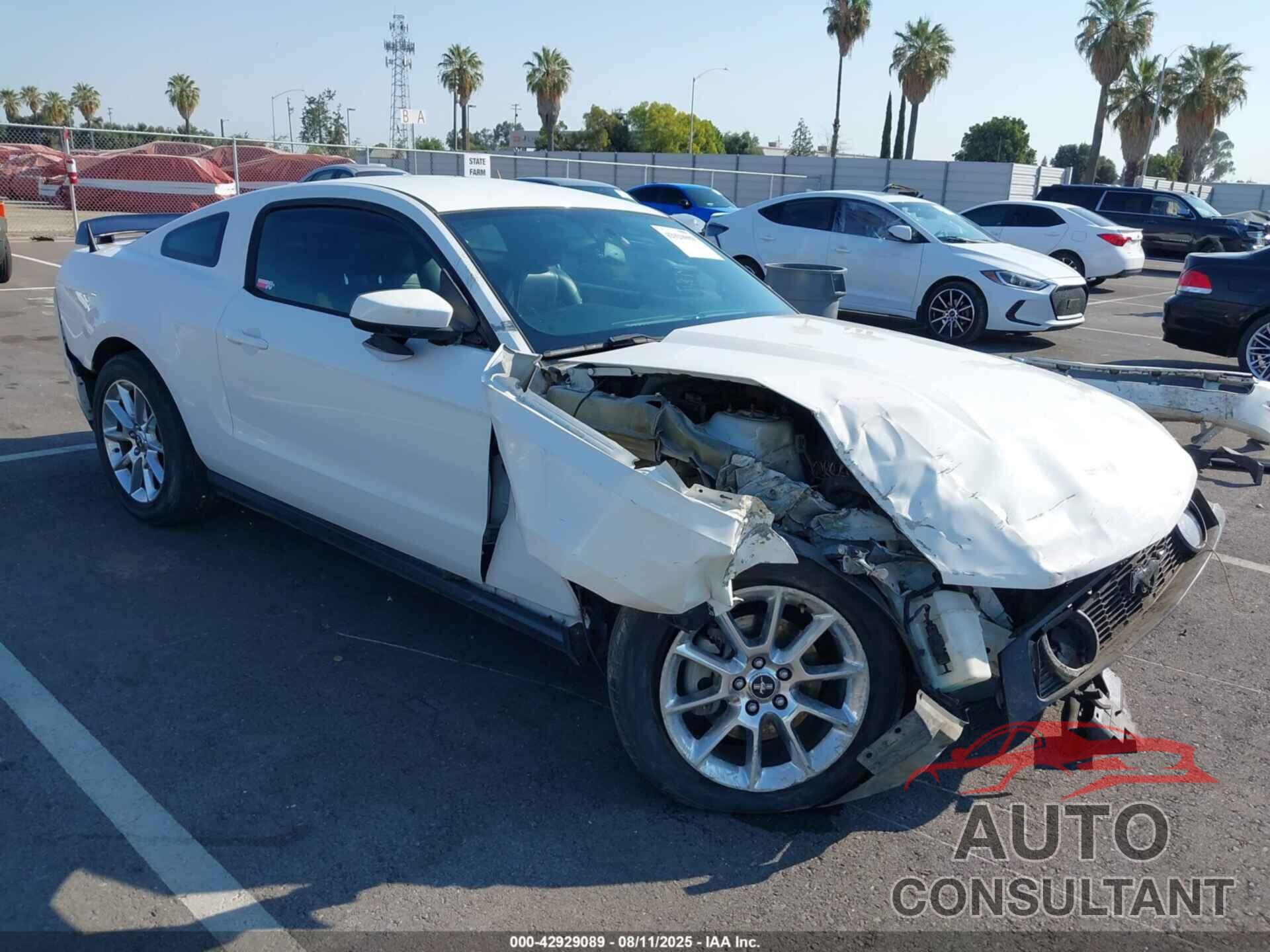 FORD MUSTANG 2010 - 1ZVBP8CH5A5160588