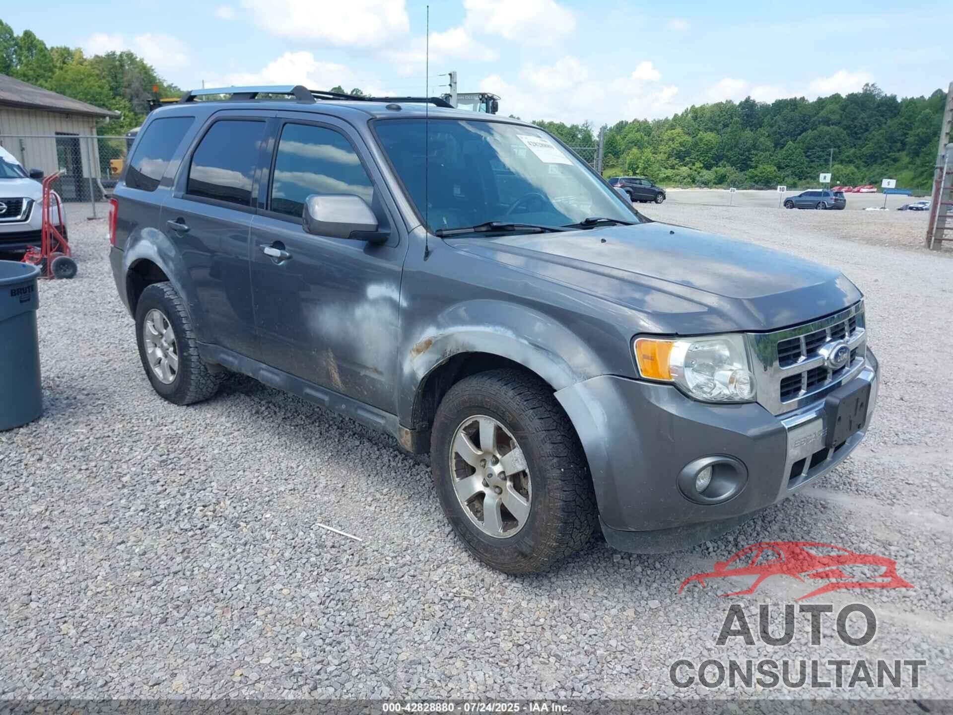 FORD ESCAPE 2011 - 1FMCU9EG8BKA75348