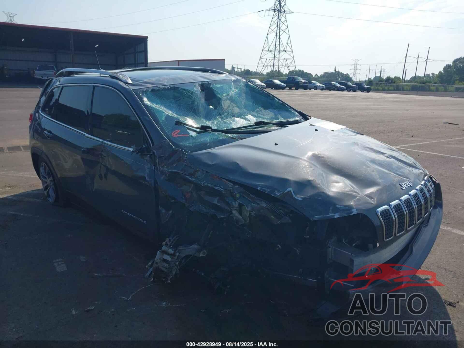 JEEP CHEROKEE 2019 - 1C4PJLLX2KD439394