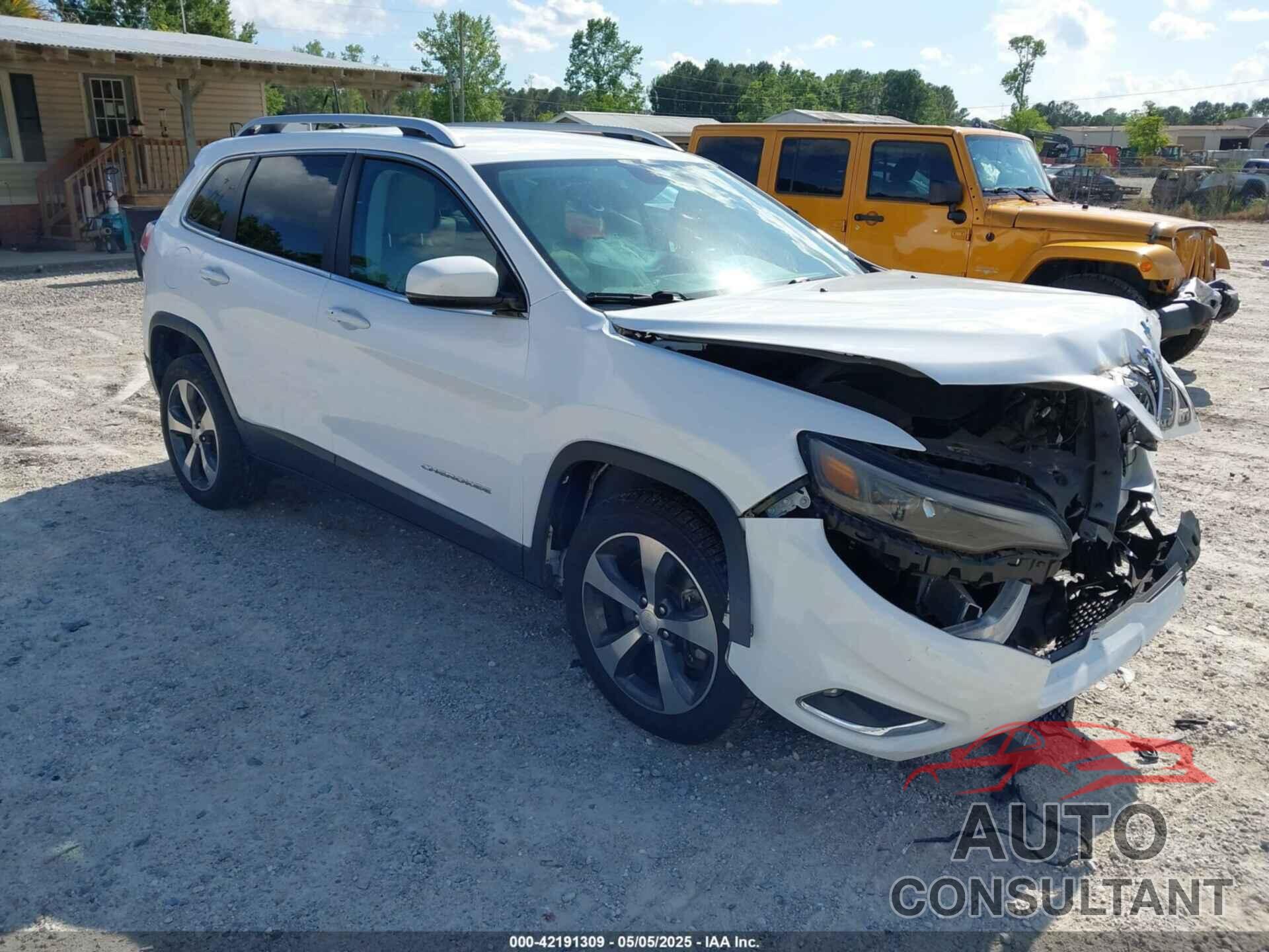 JEEP CHEROKEE 2019 - 1C4PJLDX1KD302882