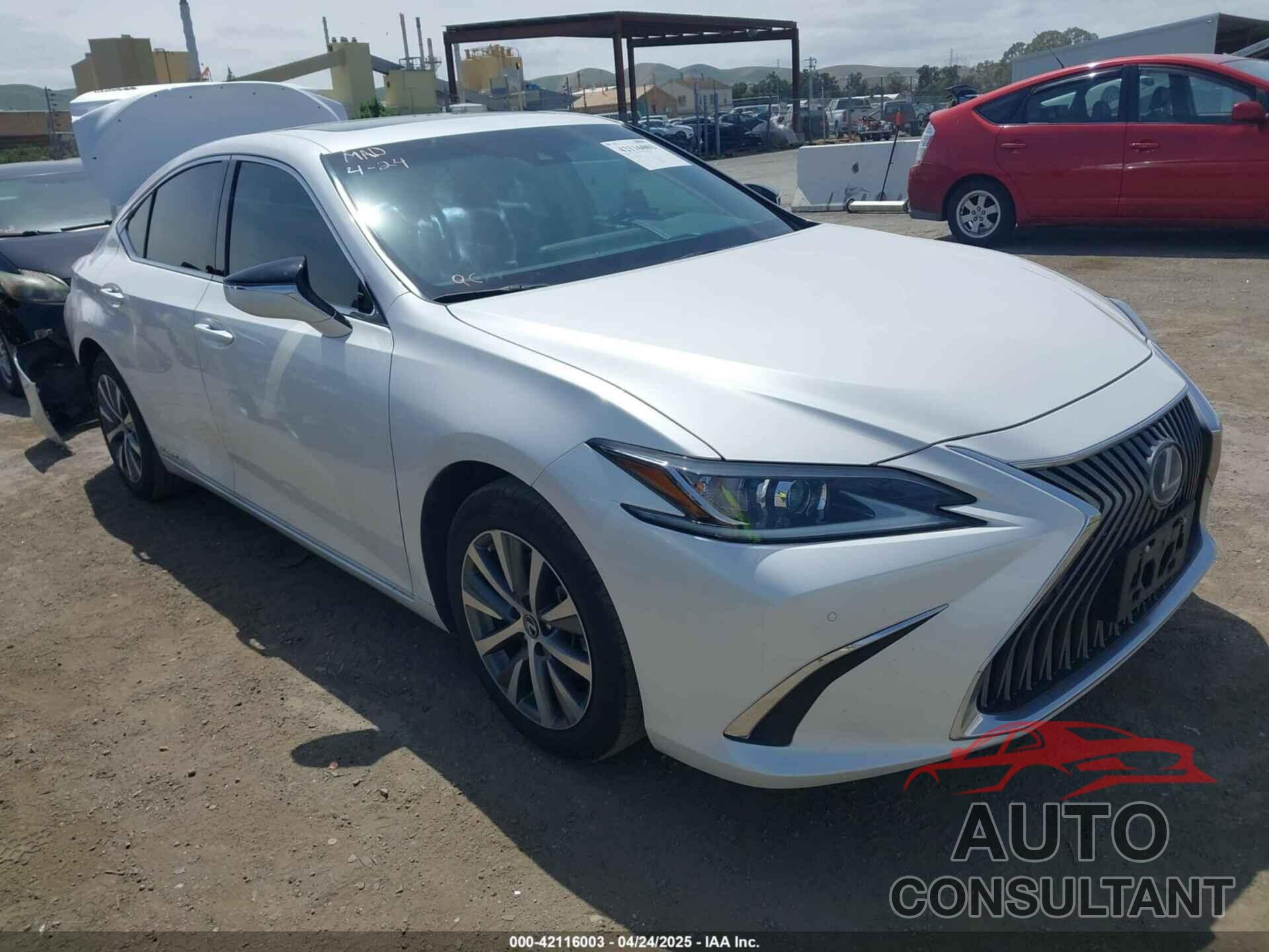 LEXUS ES 300H 2020 - 58AD21B18LU004855