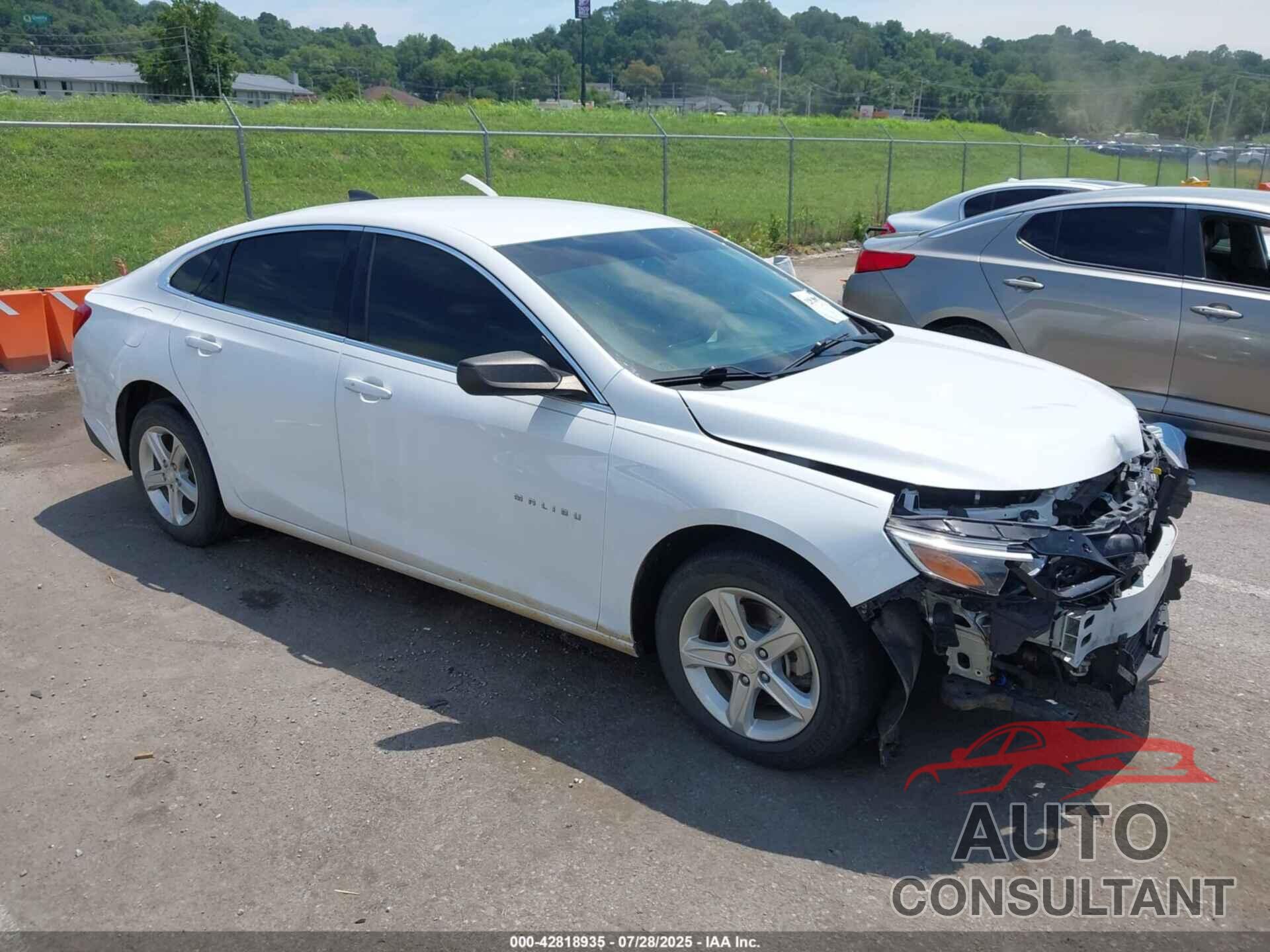 CHEVROLET MALIBU 2019 - 1G1ZB5ST0KF198593