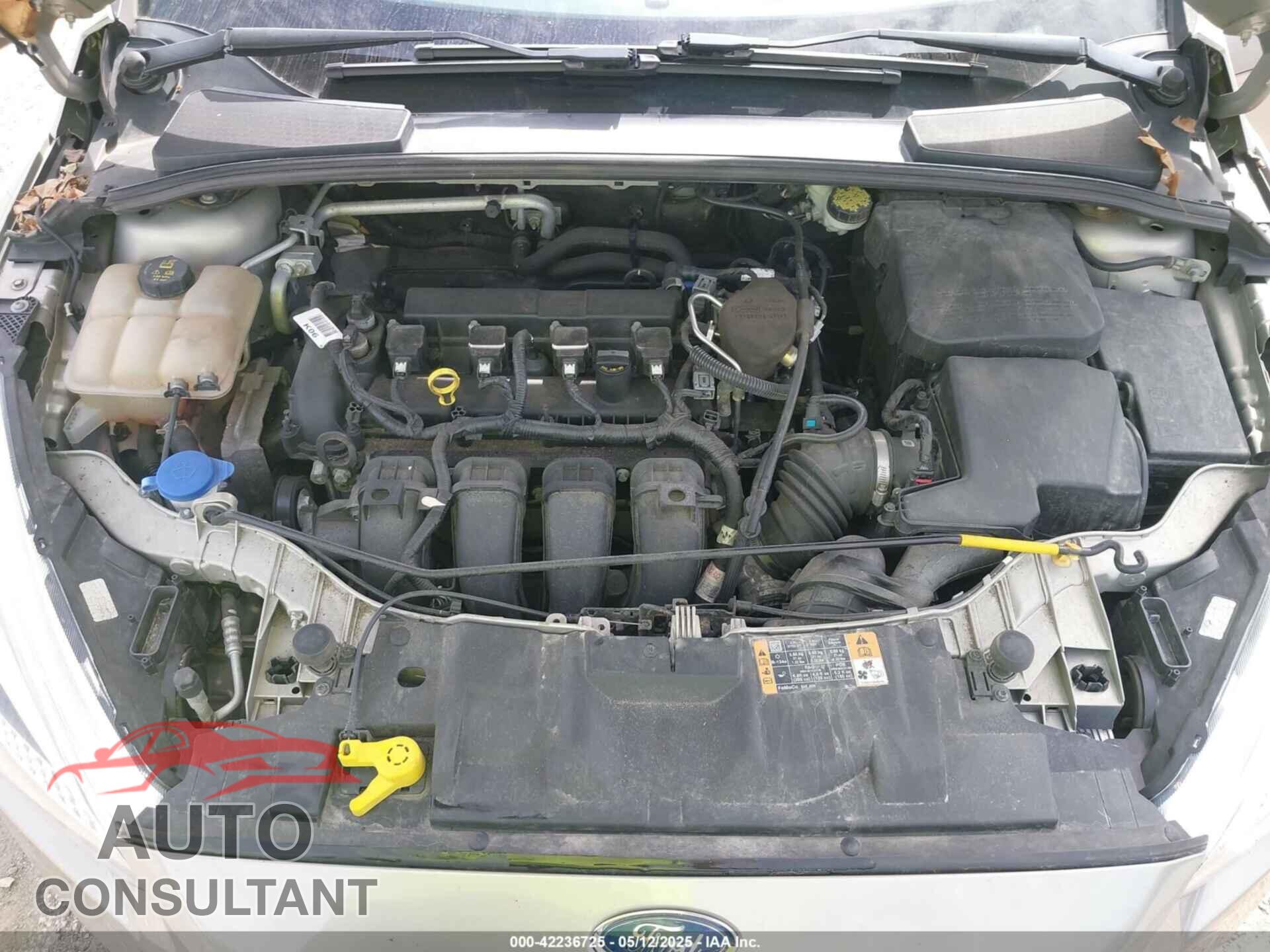 FORD FOCUS 2016 - 1FADP3F20GL212015