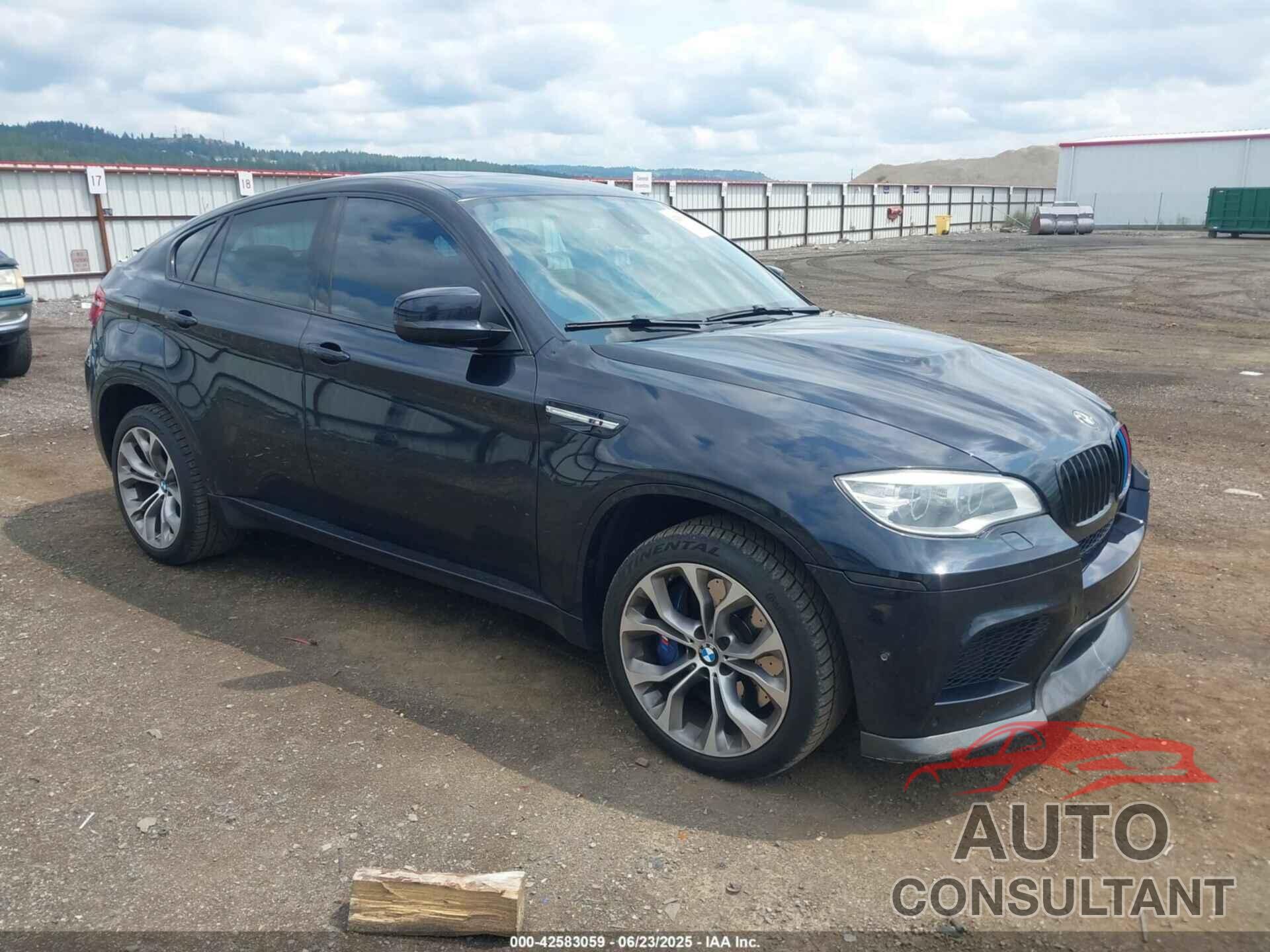 BMW X6 M 2013 - 5YMGZ0C55DLL29767