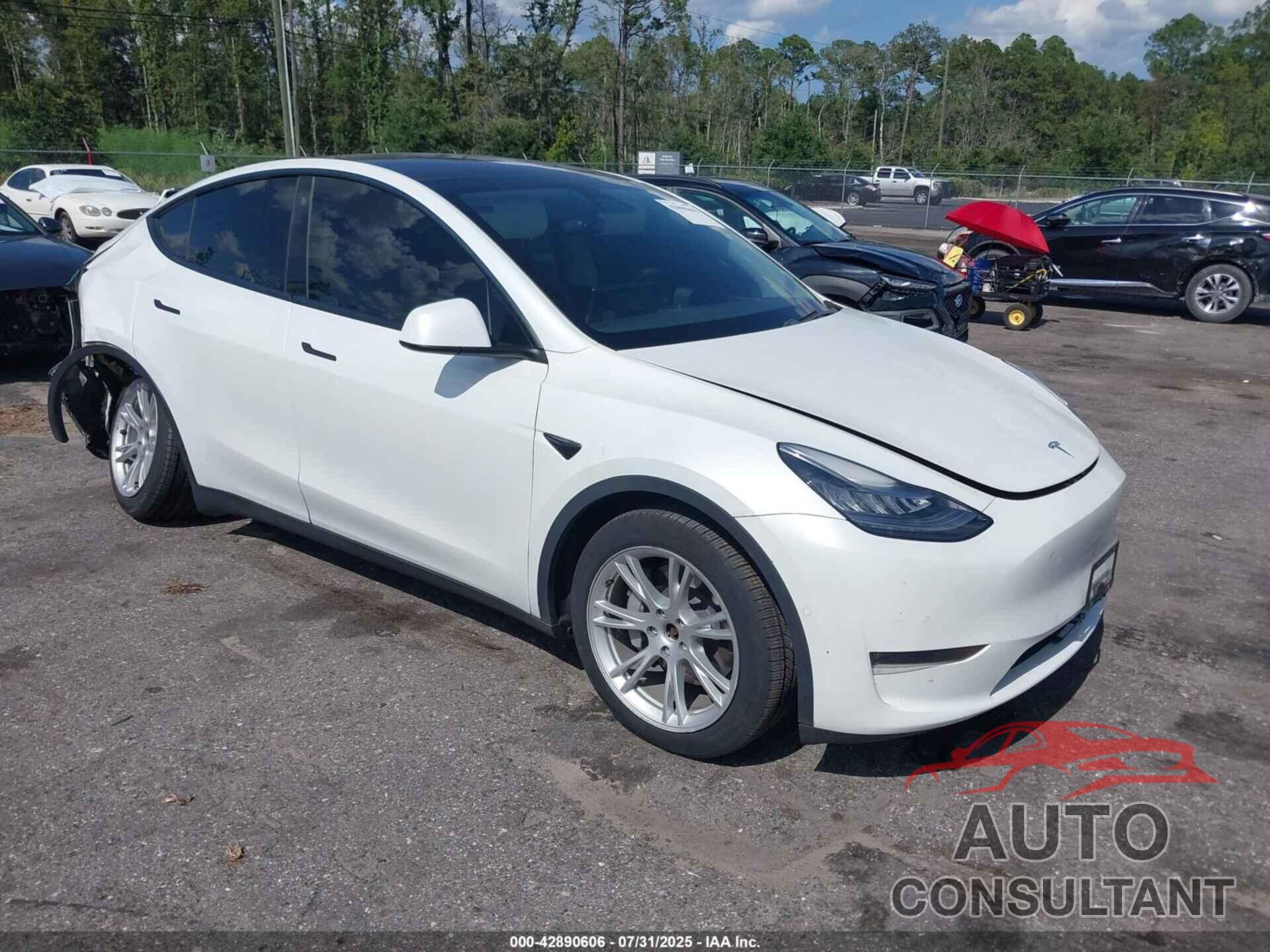 TESLA MODEL Y 2020 - 5YJYGDEE6LF052667
