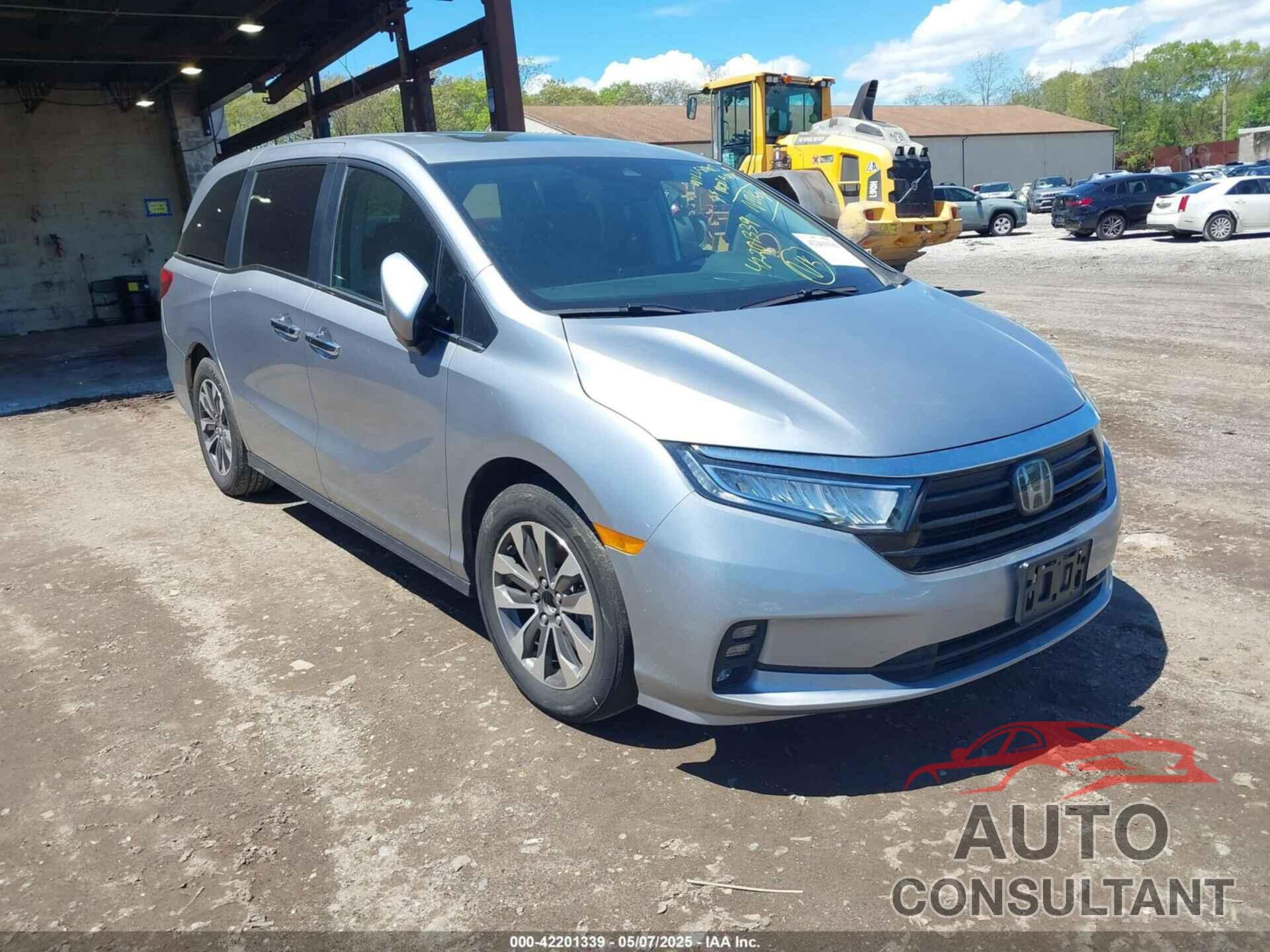 HONDA ODYSSEY 2024 - 5FNRL6H64RB043216