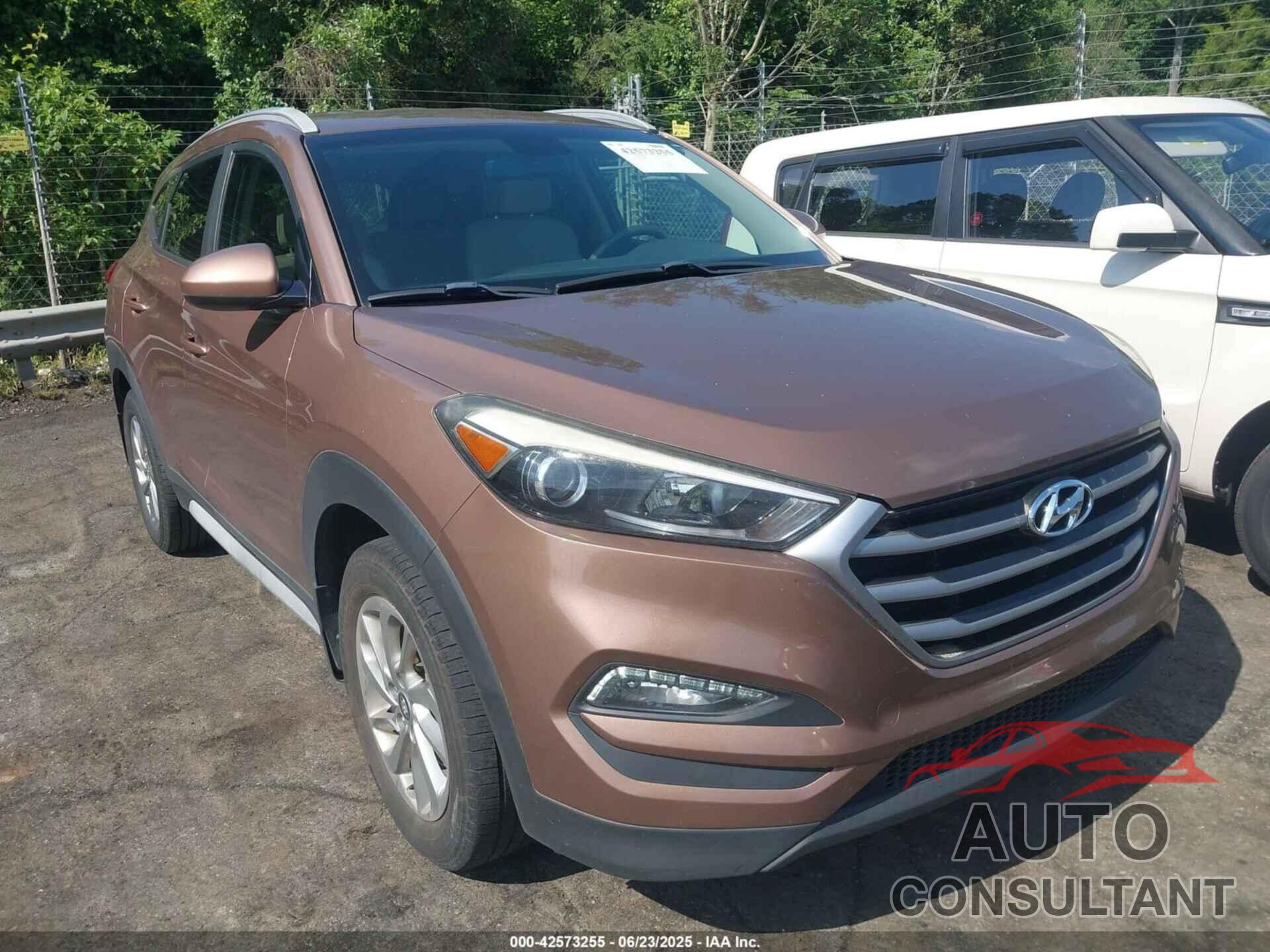 HYUNDAI TUCSON 2017 - KM8J33A42HU485062