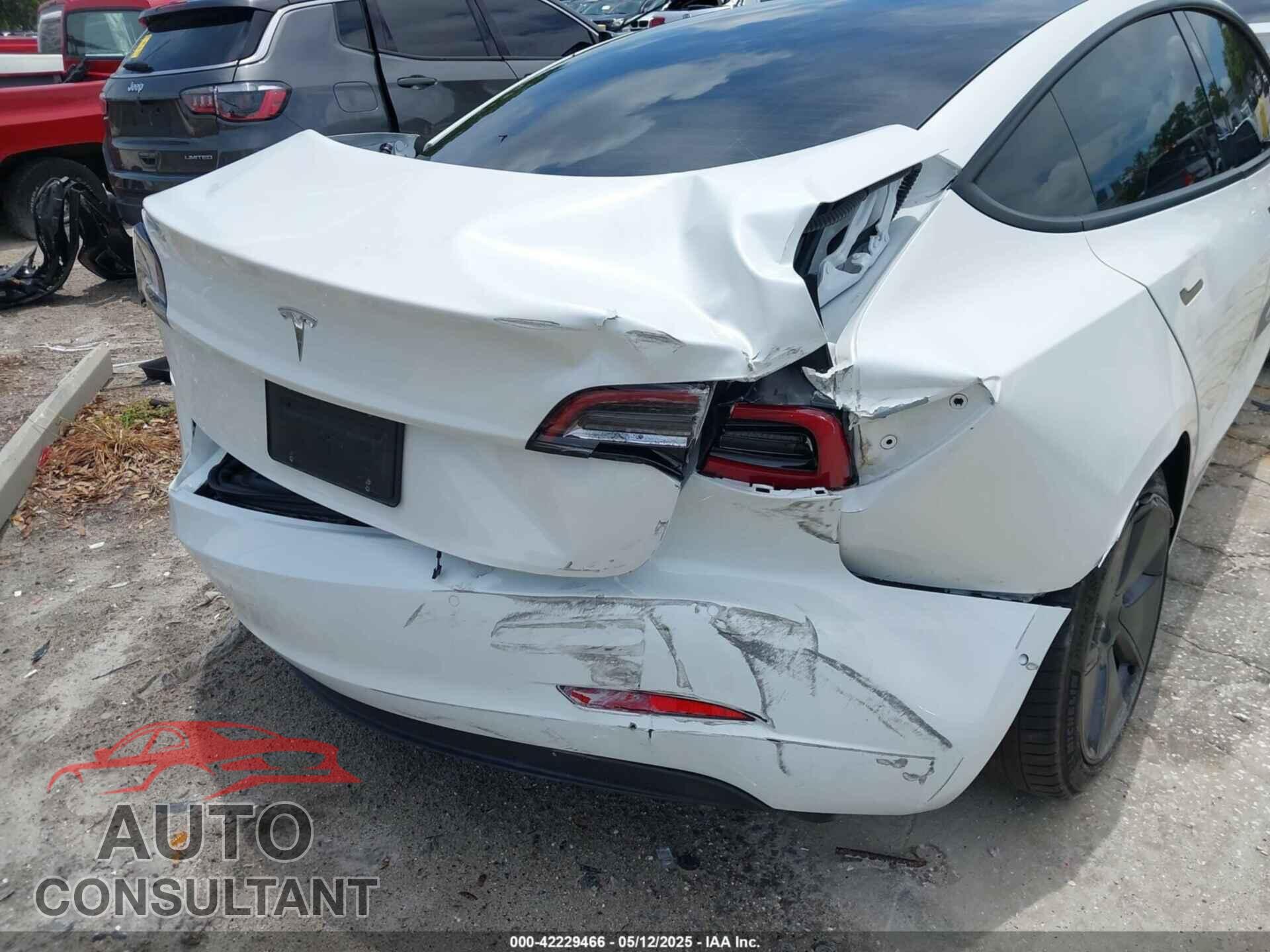 TESLA MODEL 3 2021 - 5YJ3E1EA5MF099704