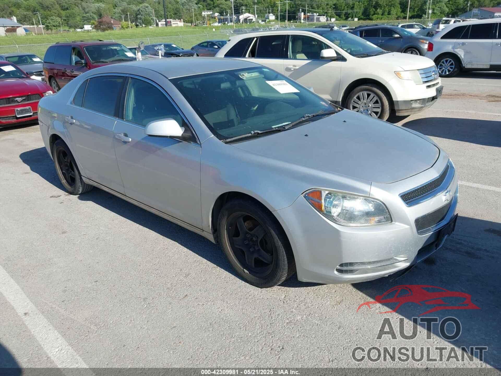 CHEVROLET MALIBU 2010 - 1G1ZC5EB4AF195016