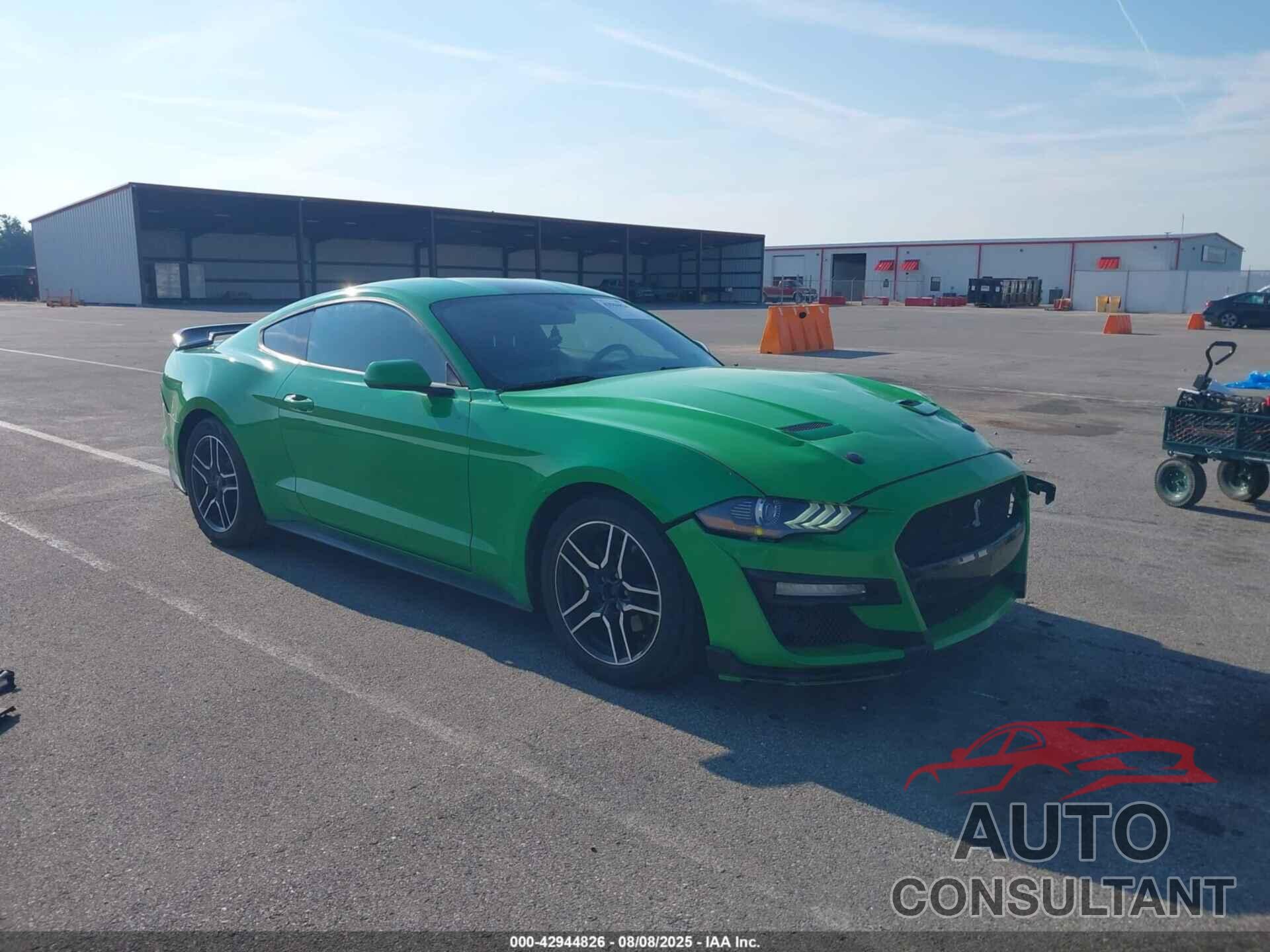 FORD MUSTANG 2019 - 1FA6P8TH7K5115194