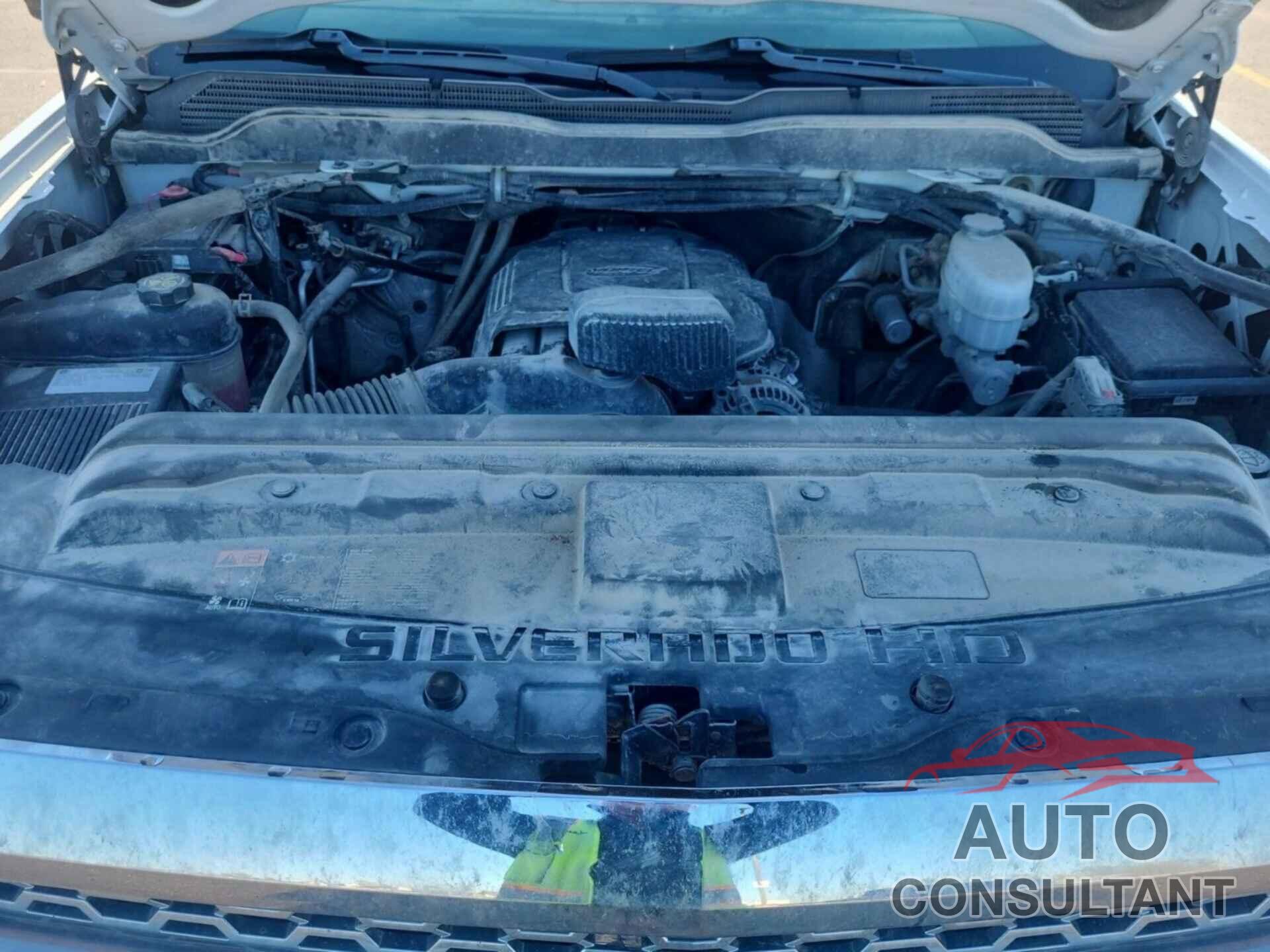 CHEVROLET SILVERADO 2019 - 2GC2KREG9K1185489