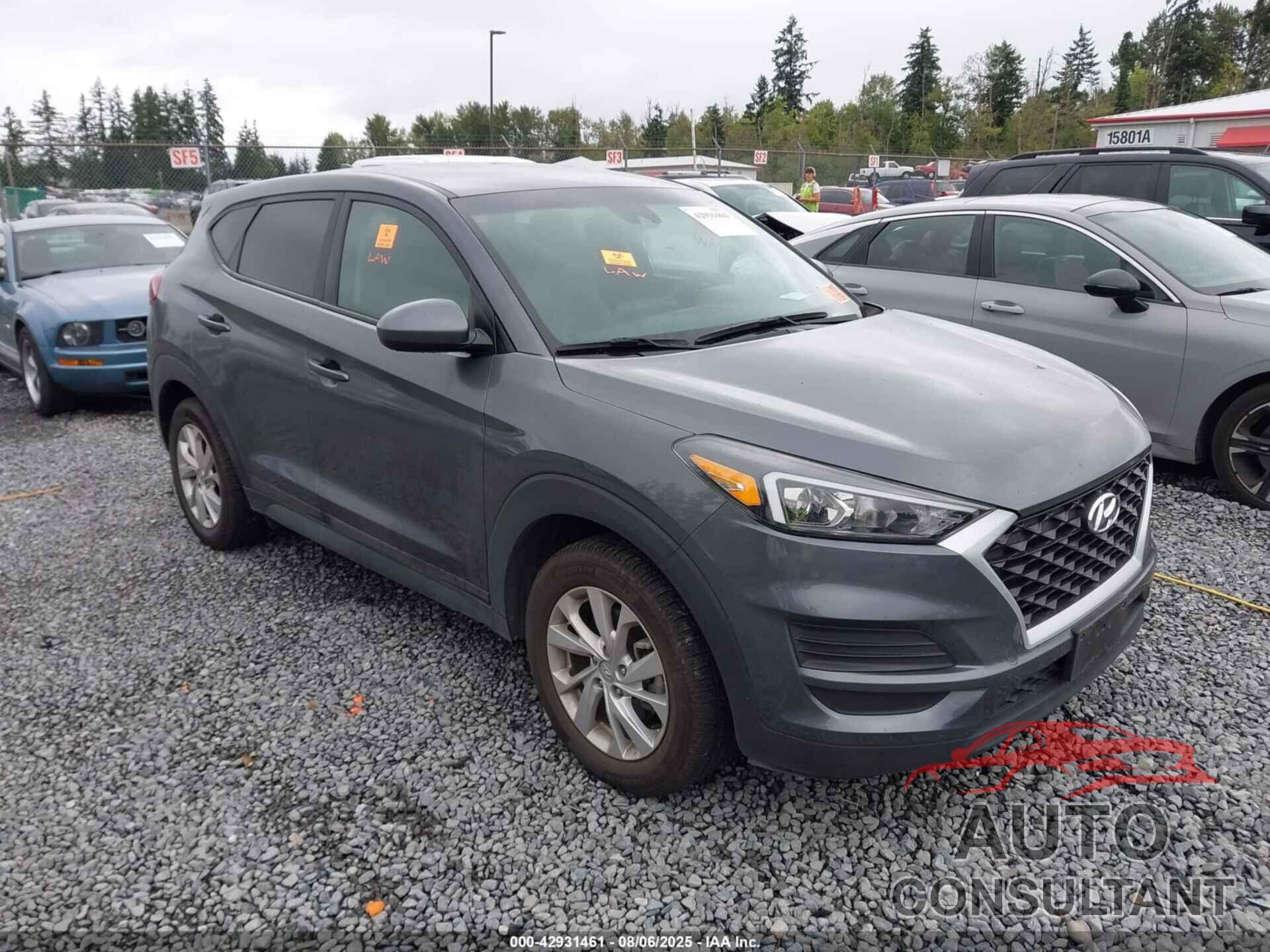 HYUNDAI TUCSON 2019 - KM8J2CA48KU065705
